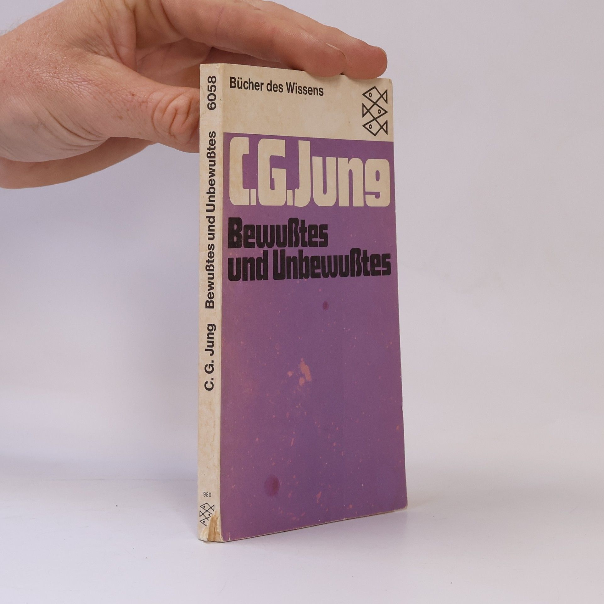 Carl Gustav Jung Bewusstes und Unbewusstes