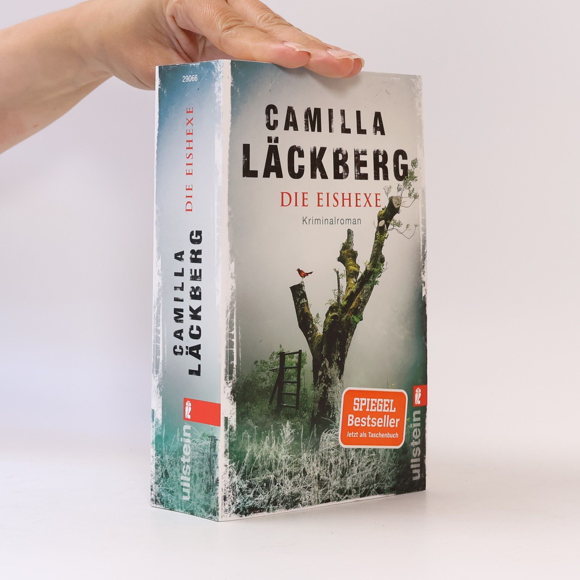 Camilla Läckberg Die Eishexe