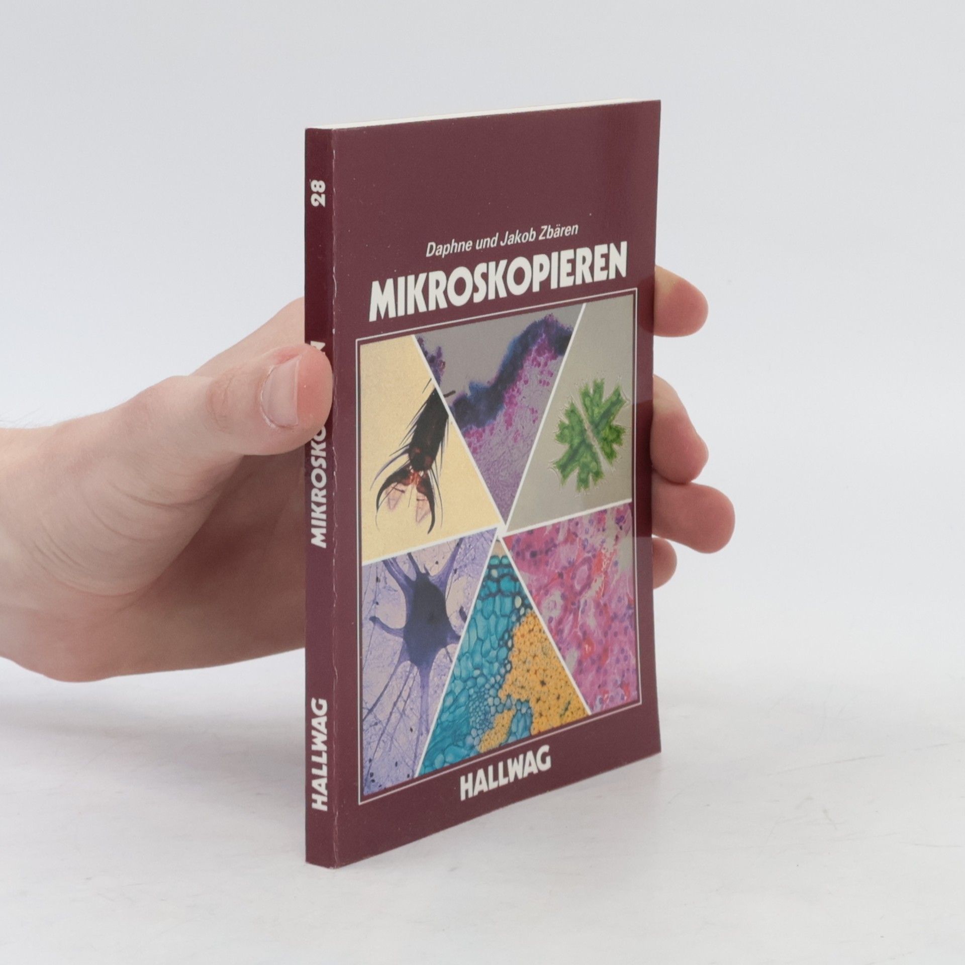 Daphne Zbären Mikroskopieren