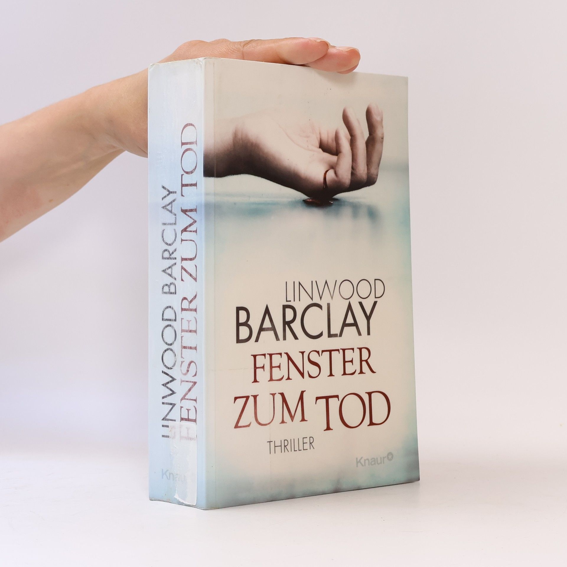 Linwood Barclay Fenster zum Tod