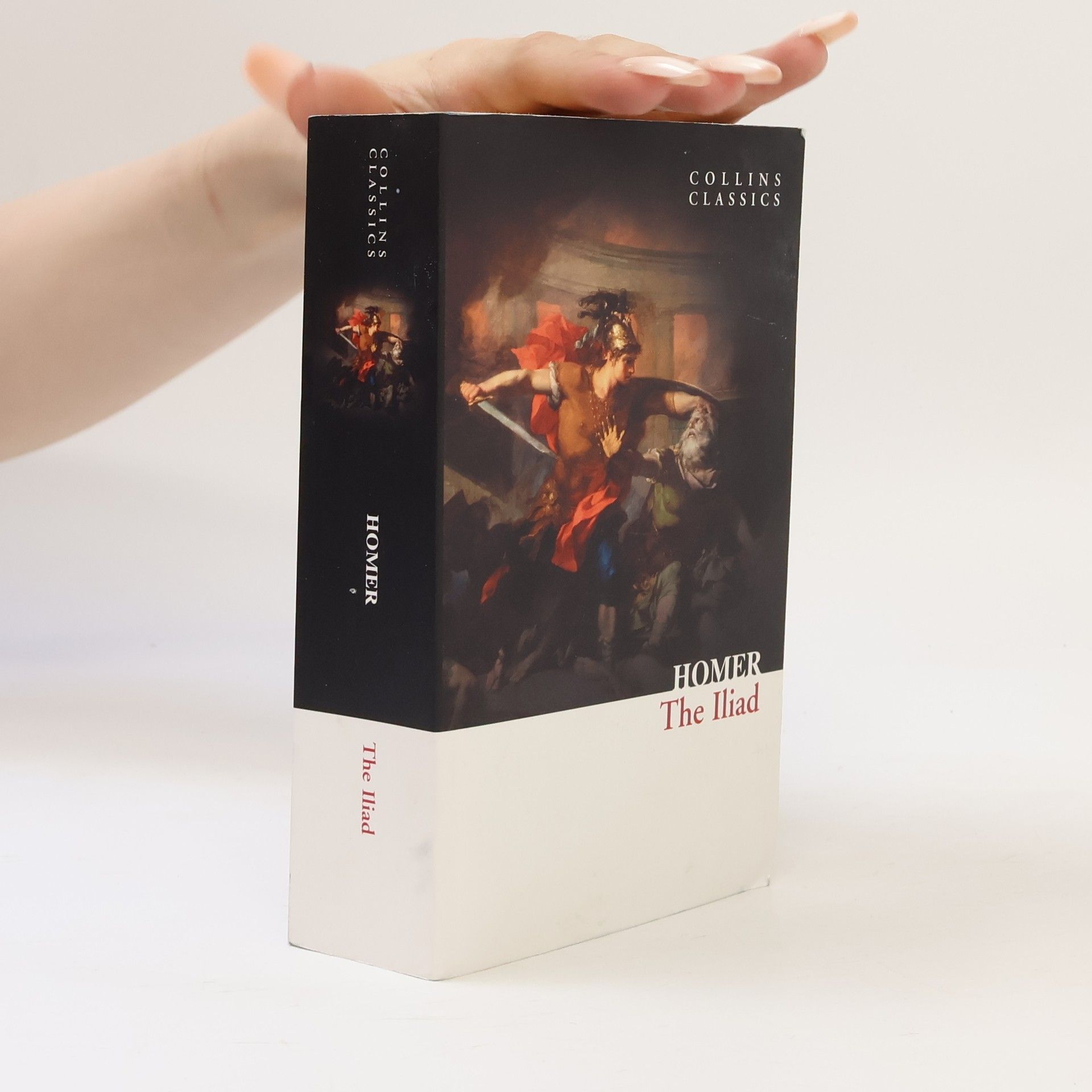 Homér The Iliad