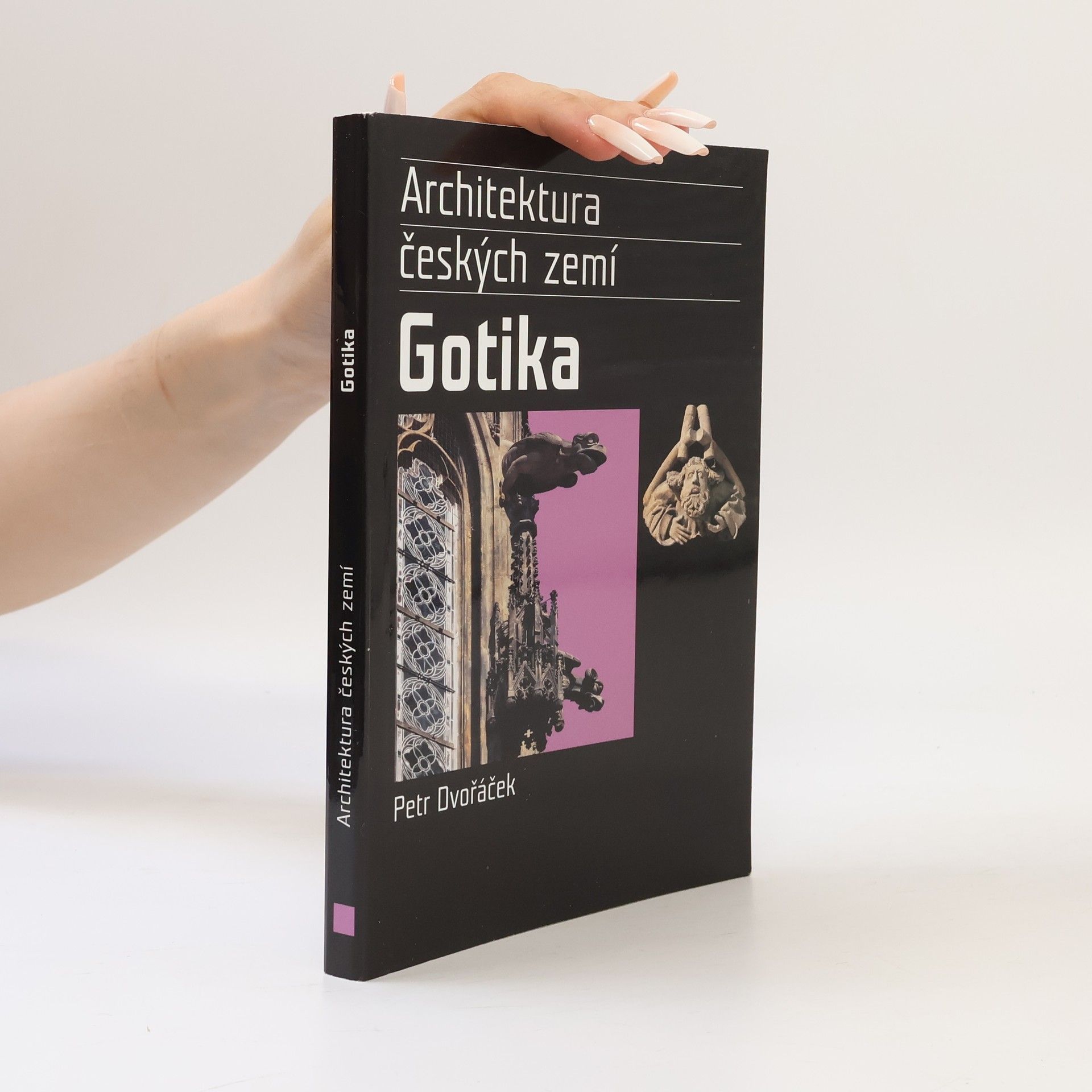 Gotika. Architektura českých zemí