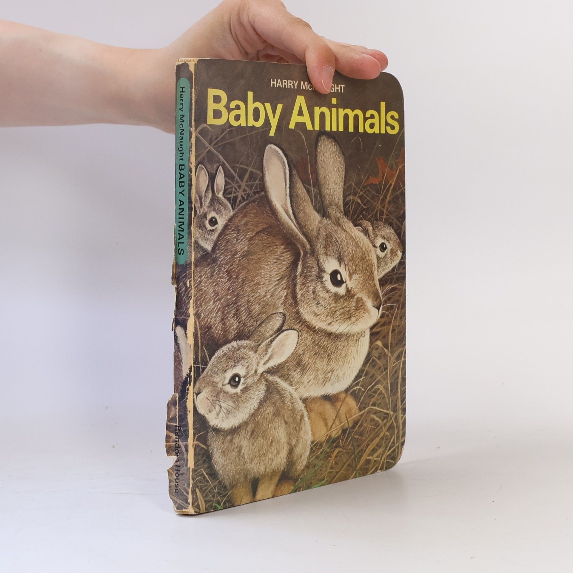 Baby Animals