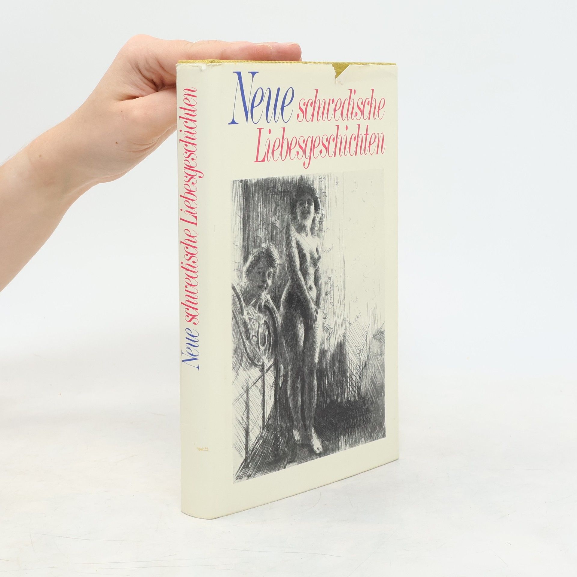 Collectif d'auteurs Neue schwedische Liebesgeeschichten