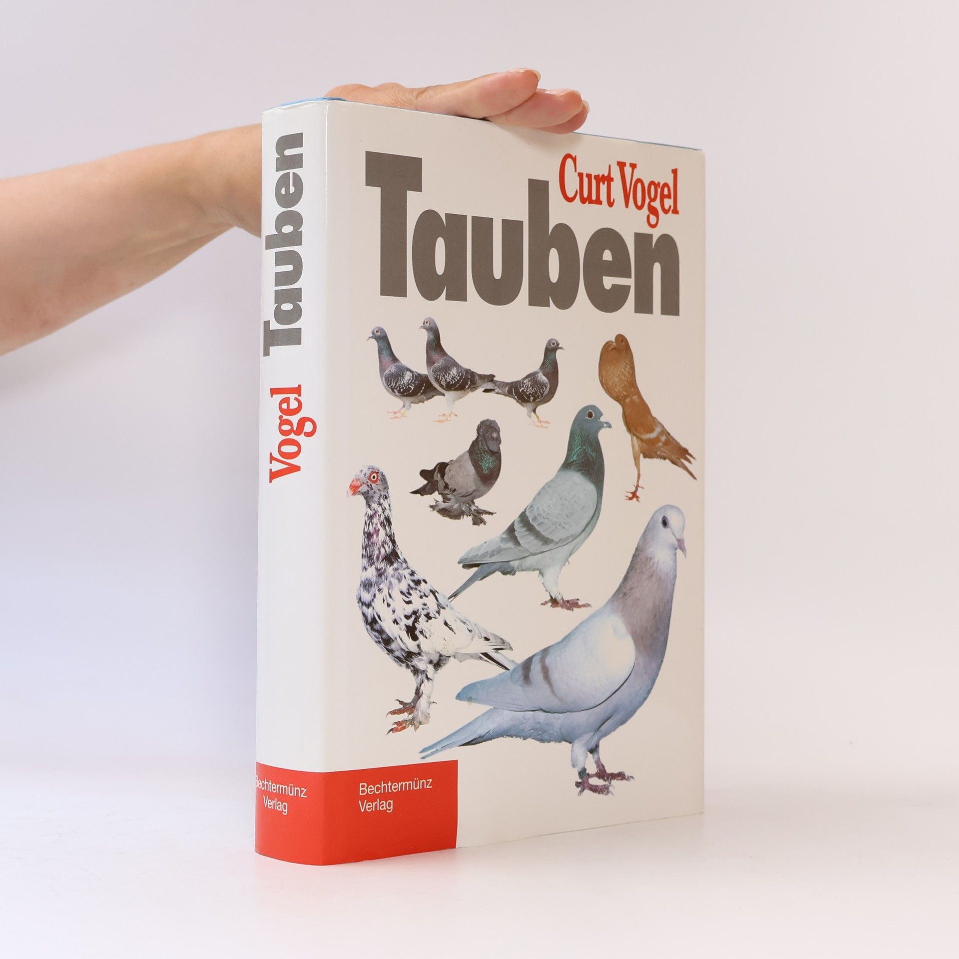 Curt Vogel Tauben