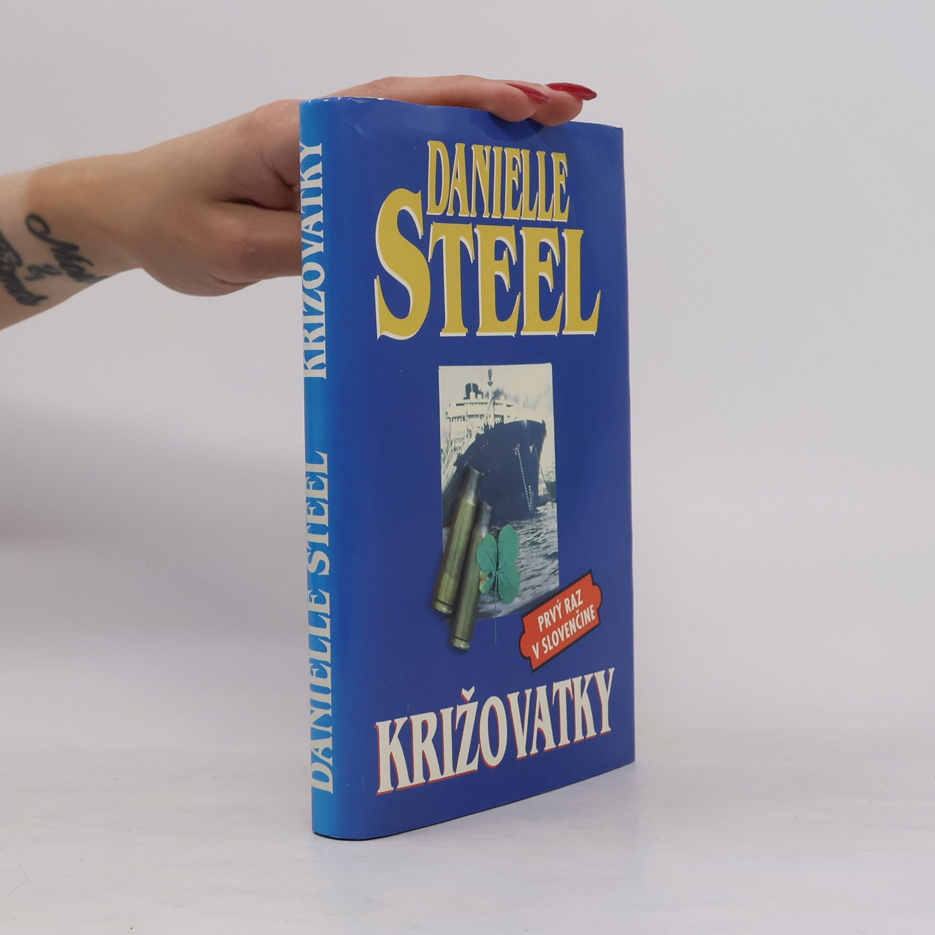 Danielle Steel Križovatky