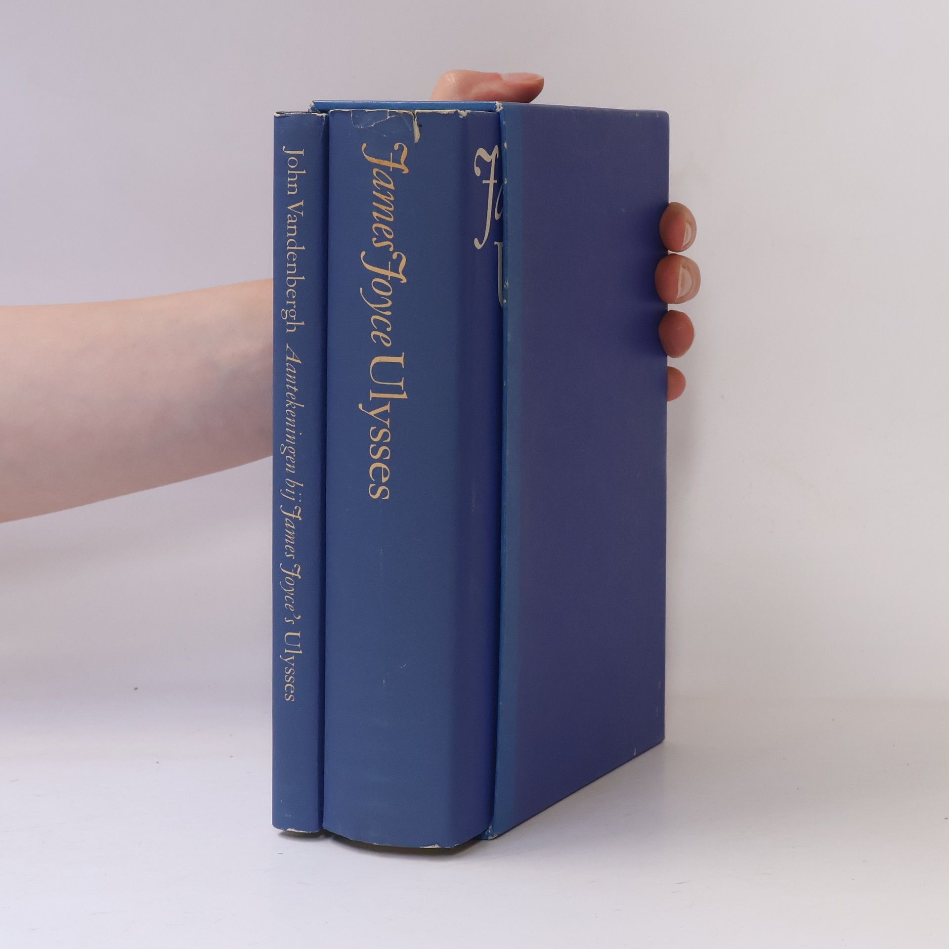 James Joyce James Joyce Ulysses & Aantekeningen