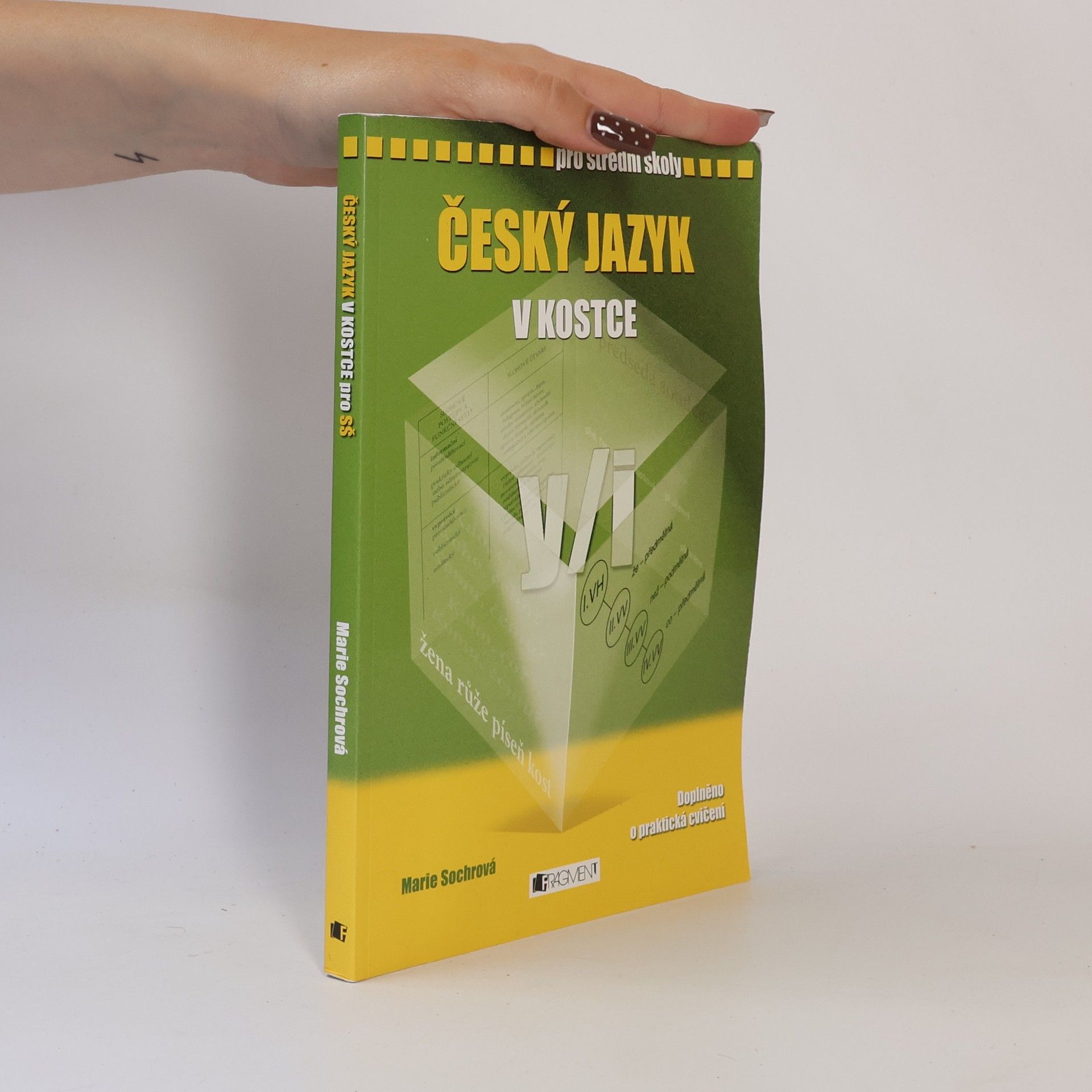 Marie Sochrová Český jazyk v kostce : pro střední školy