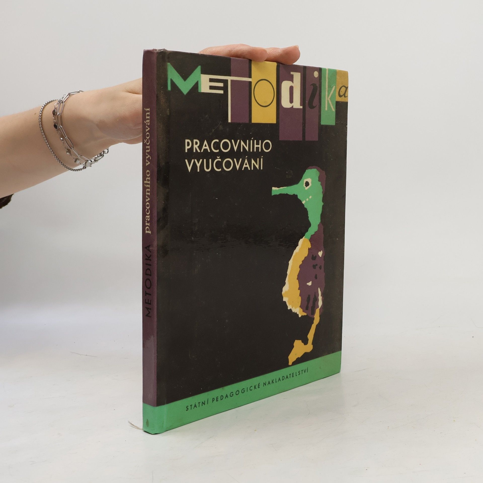 Heda Bartošová Metodika pracovního vyučování