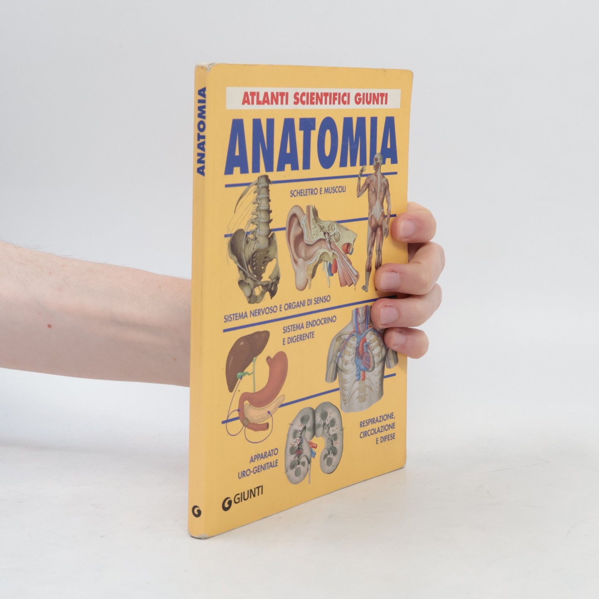Anatomia