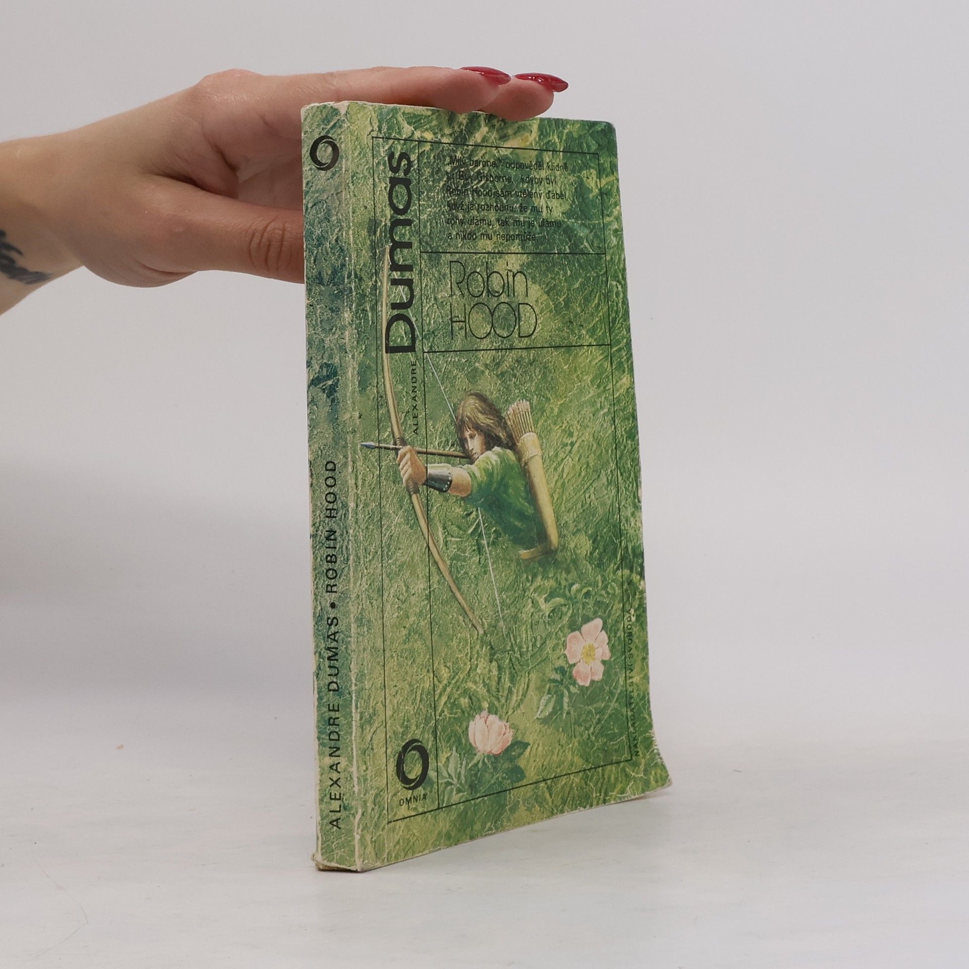 Alexandre Dumas der Ältere Robin Hood