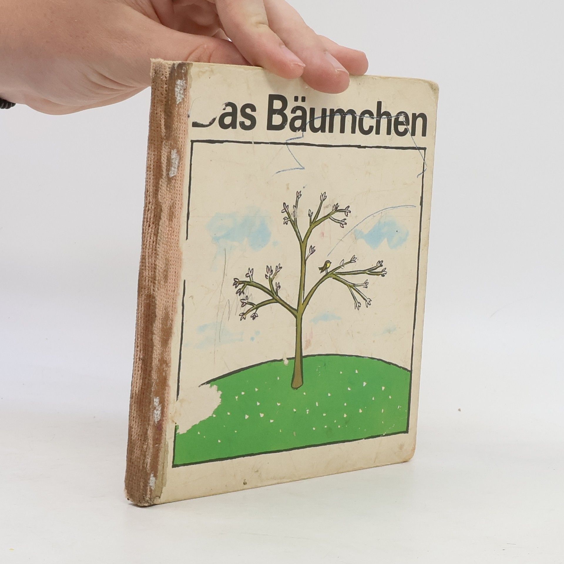 Autorenkollektiv Das Bäuchmen