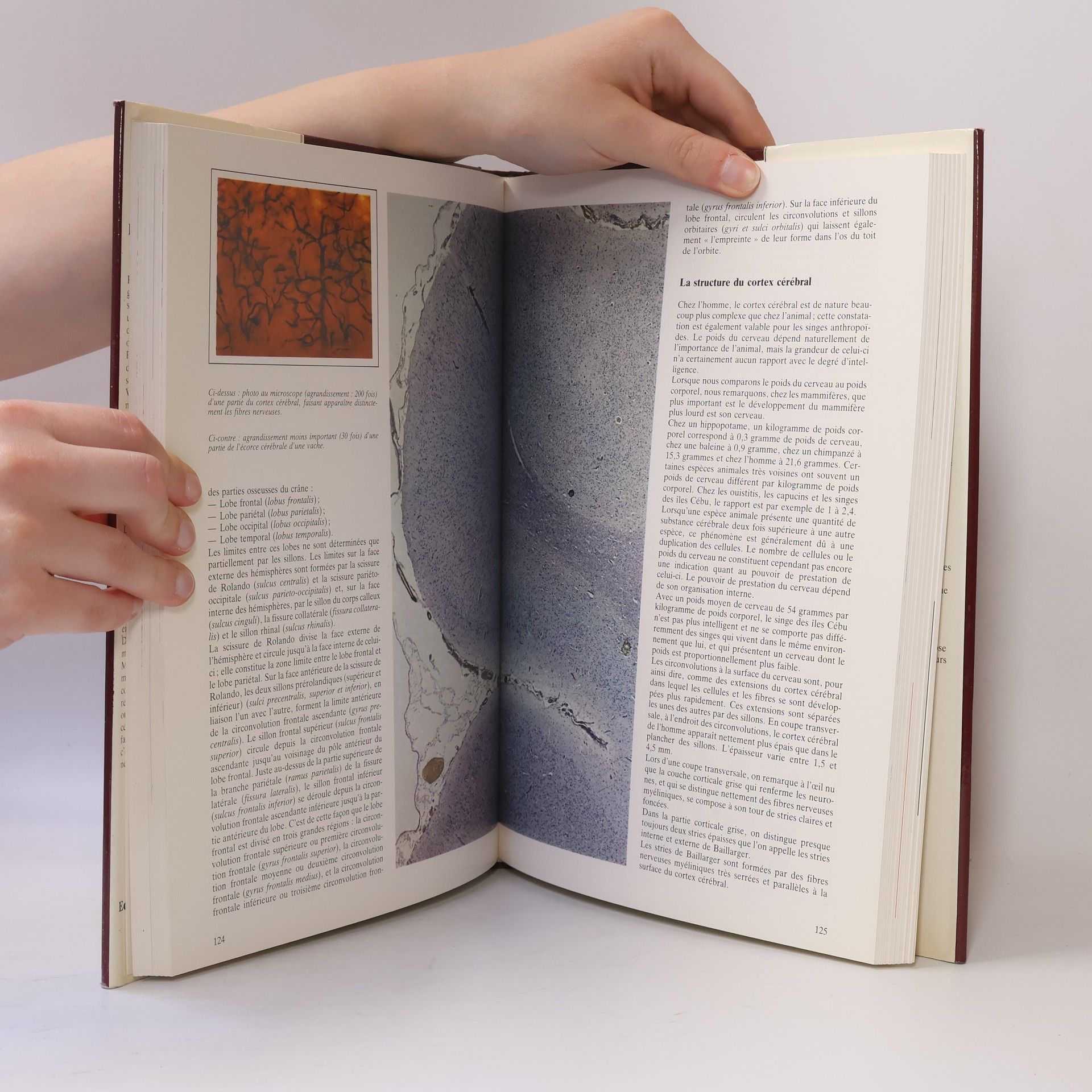 Th Romein Le Système nerveux Nouvelle Encyclopédie de la Médecine