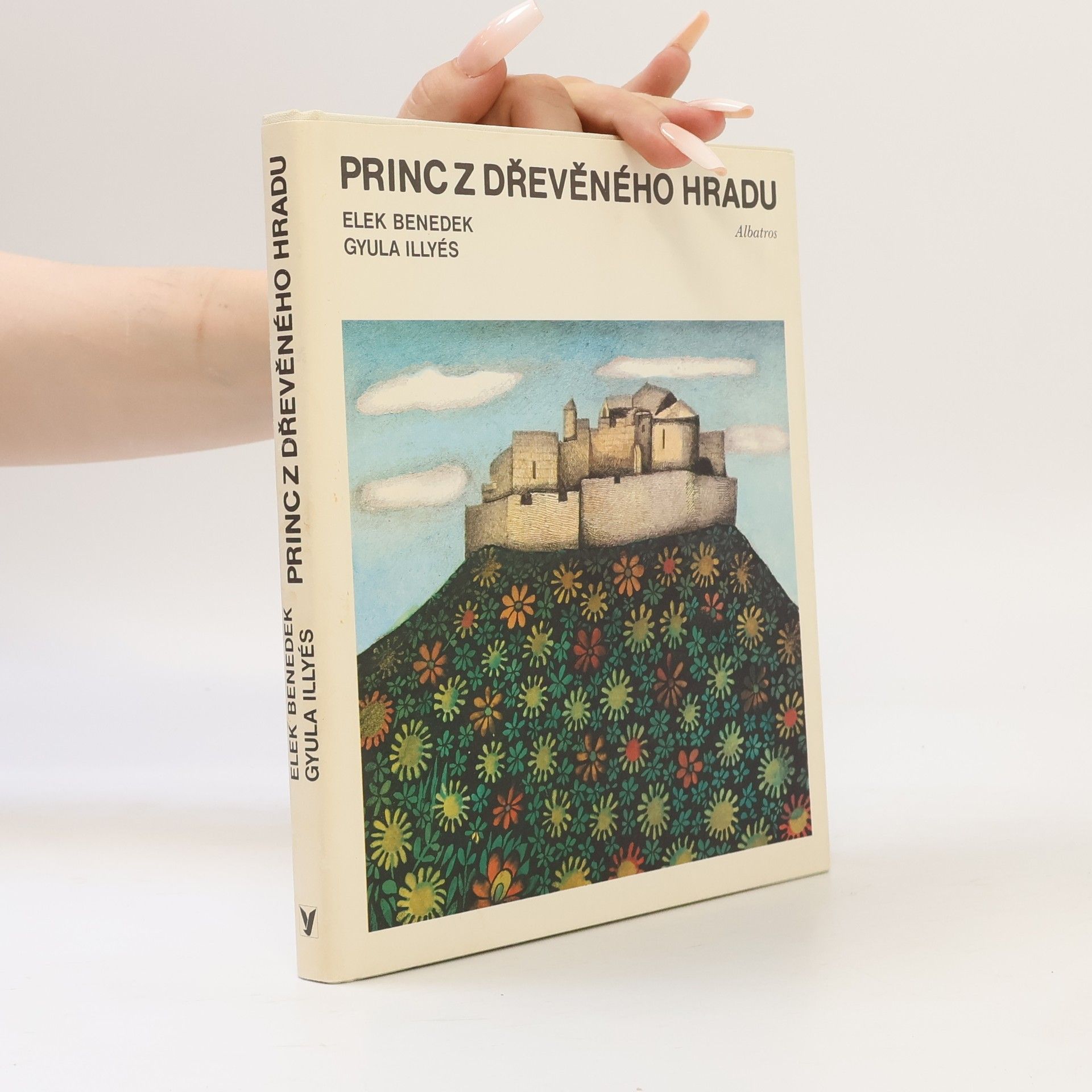 Princ z dřevěného hradu