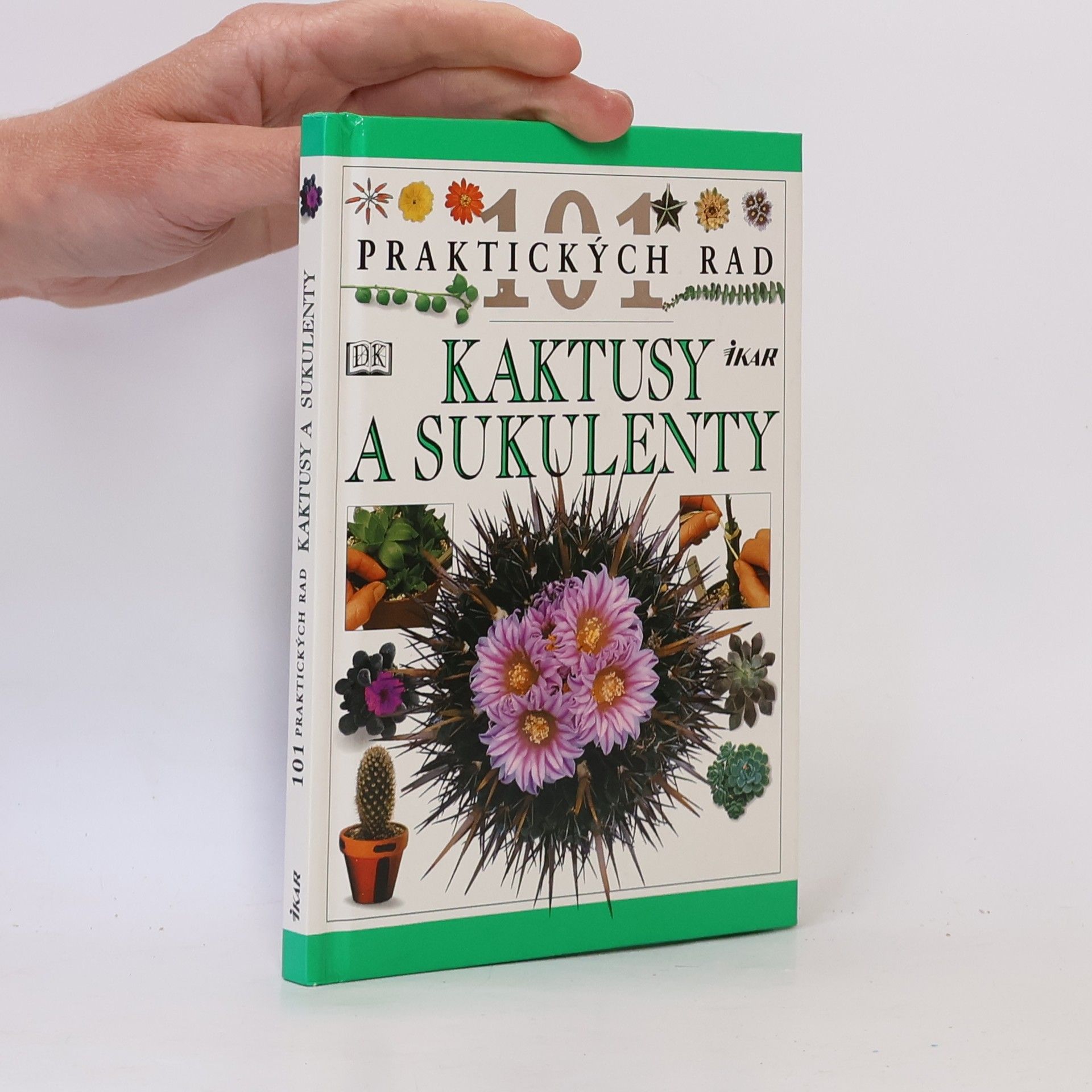 Terry Hewitt Kaktusy a sukulenty