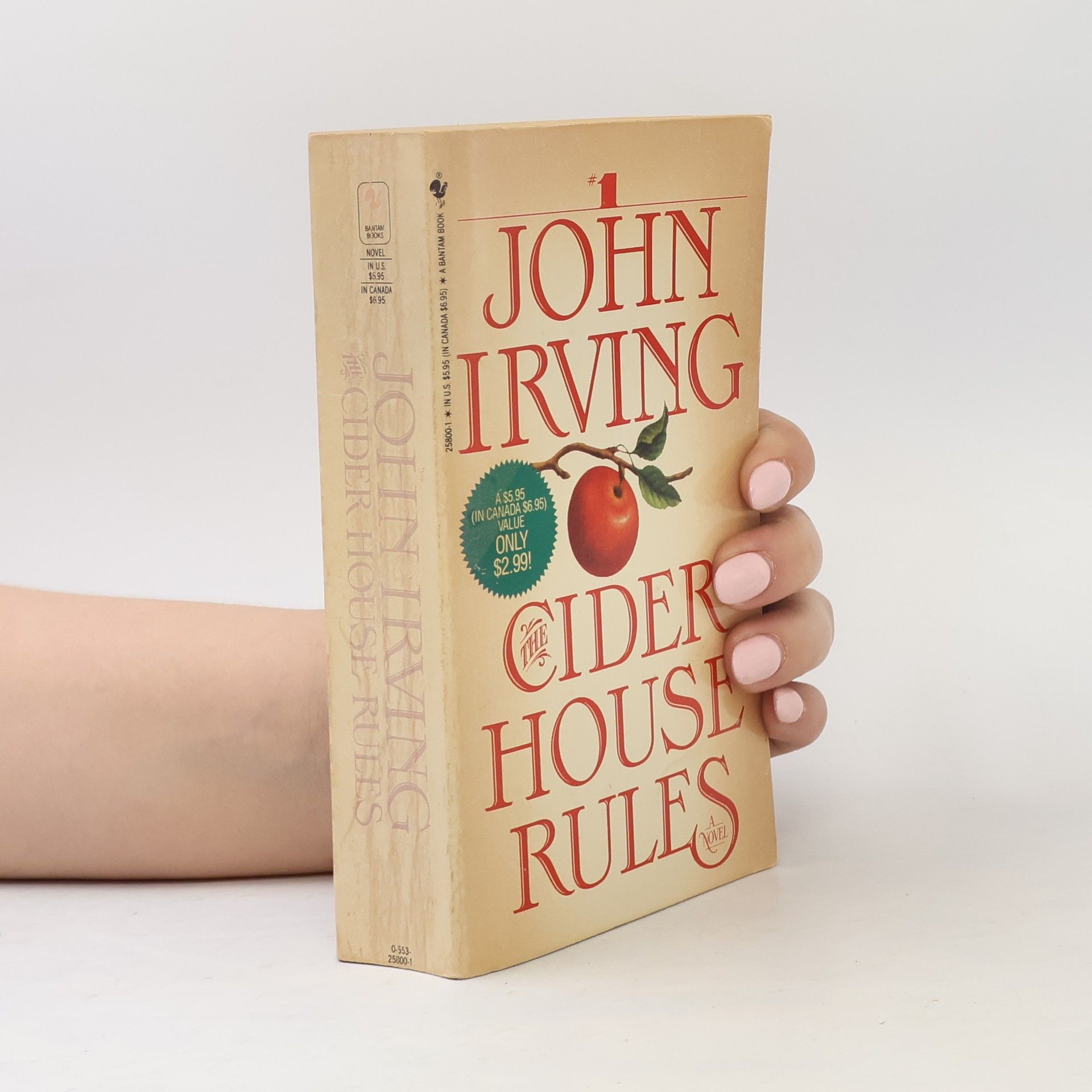 John Irving The Cider House Rules