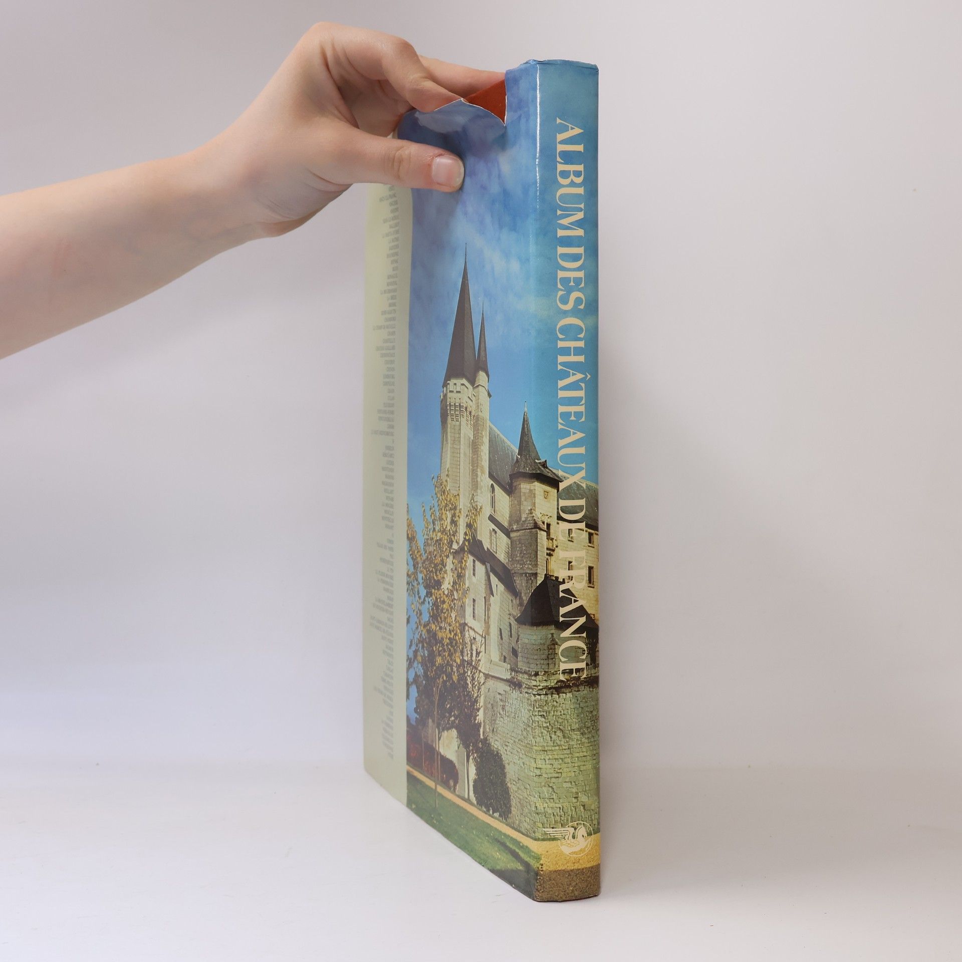 Kolektiv autorů Album des chateaux de France