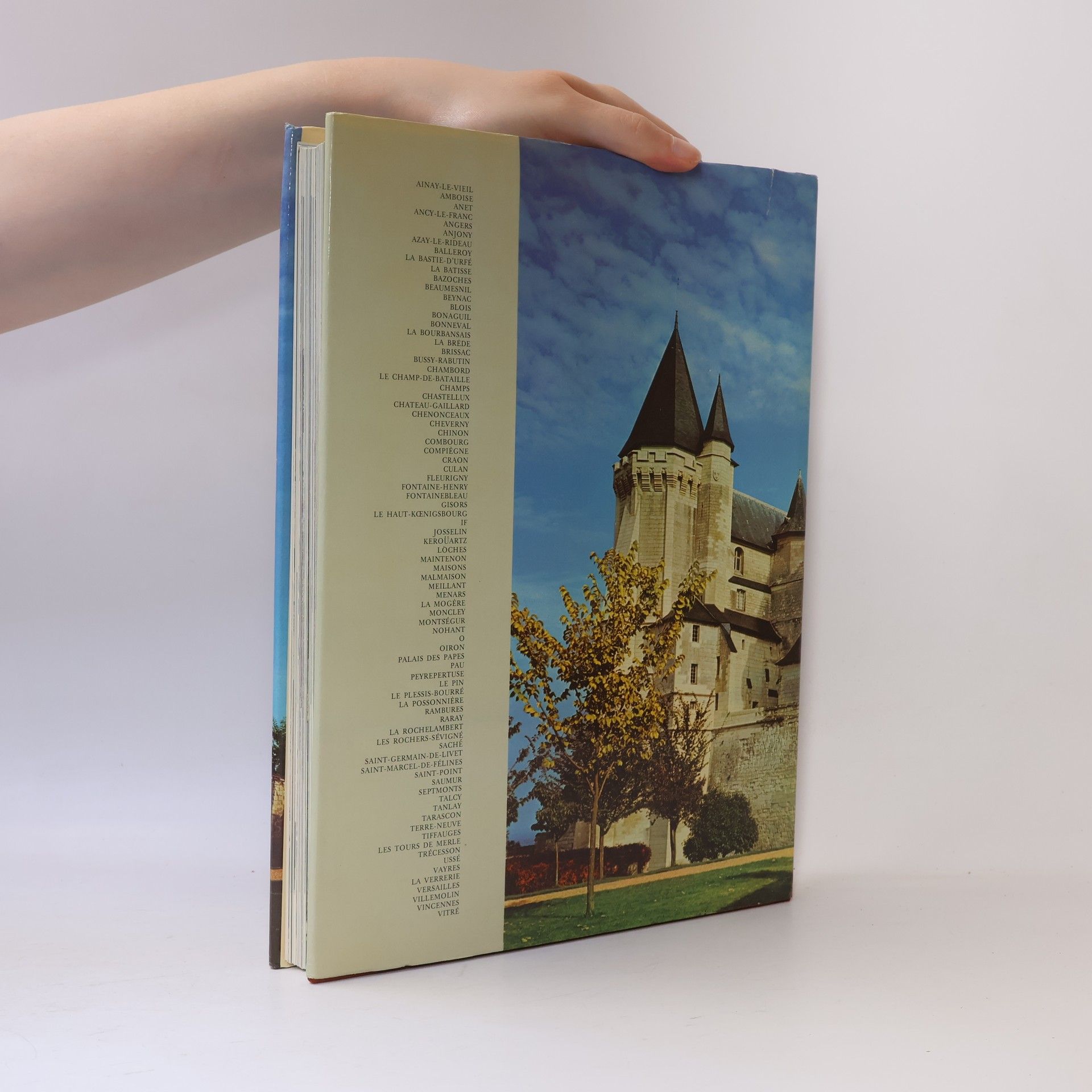 Kolektiv autorů Album des chateaux de France