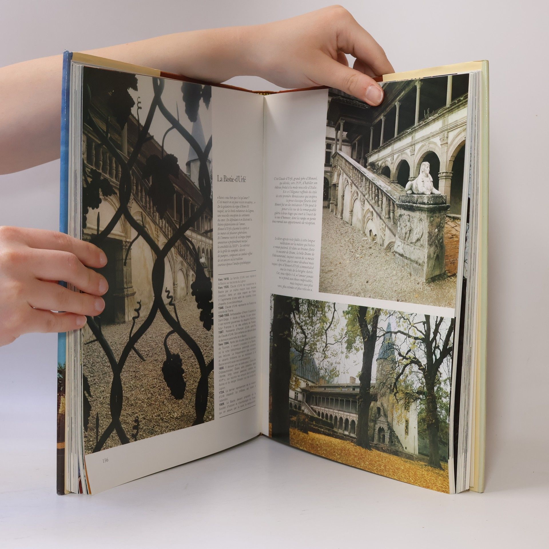 Kolektiv autorů Album des chateaux de France