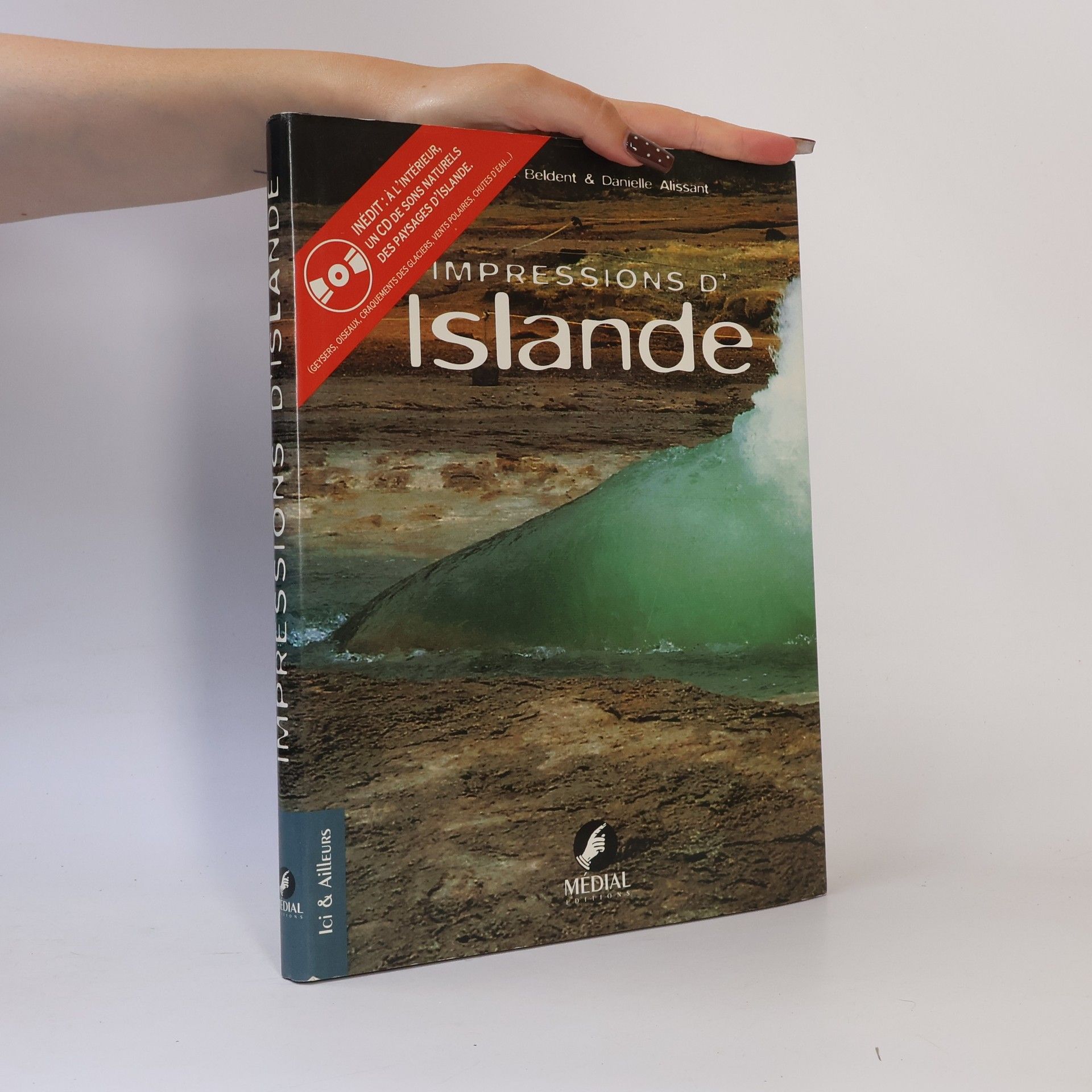 Danielle Alissant Impressions d'Islande