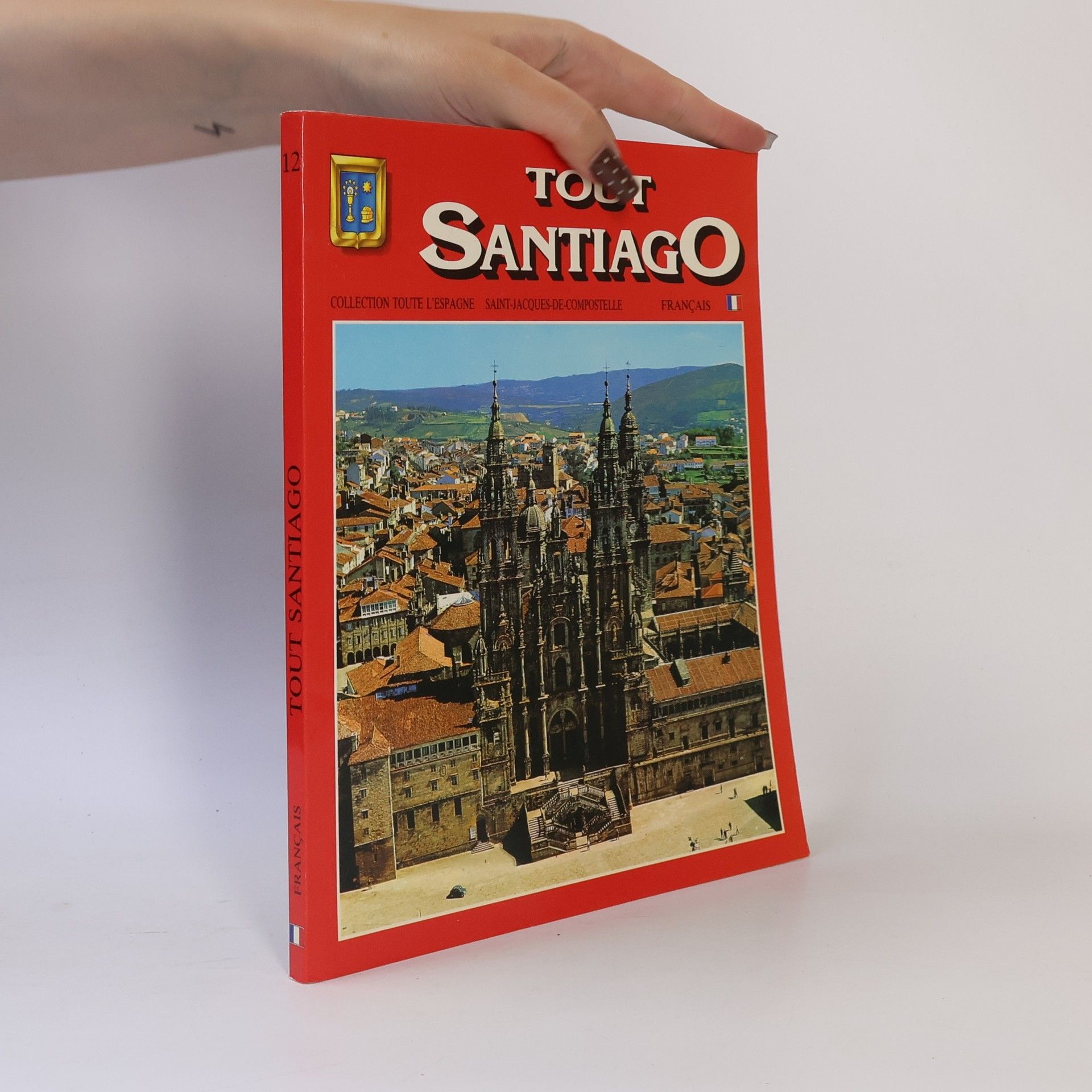 Kolektív autorov Tout Santiago