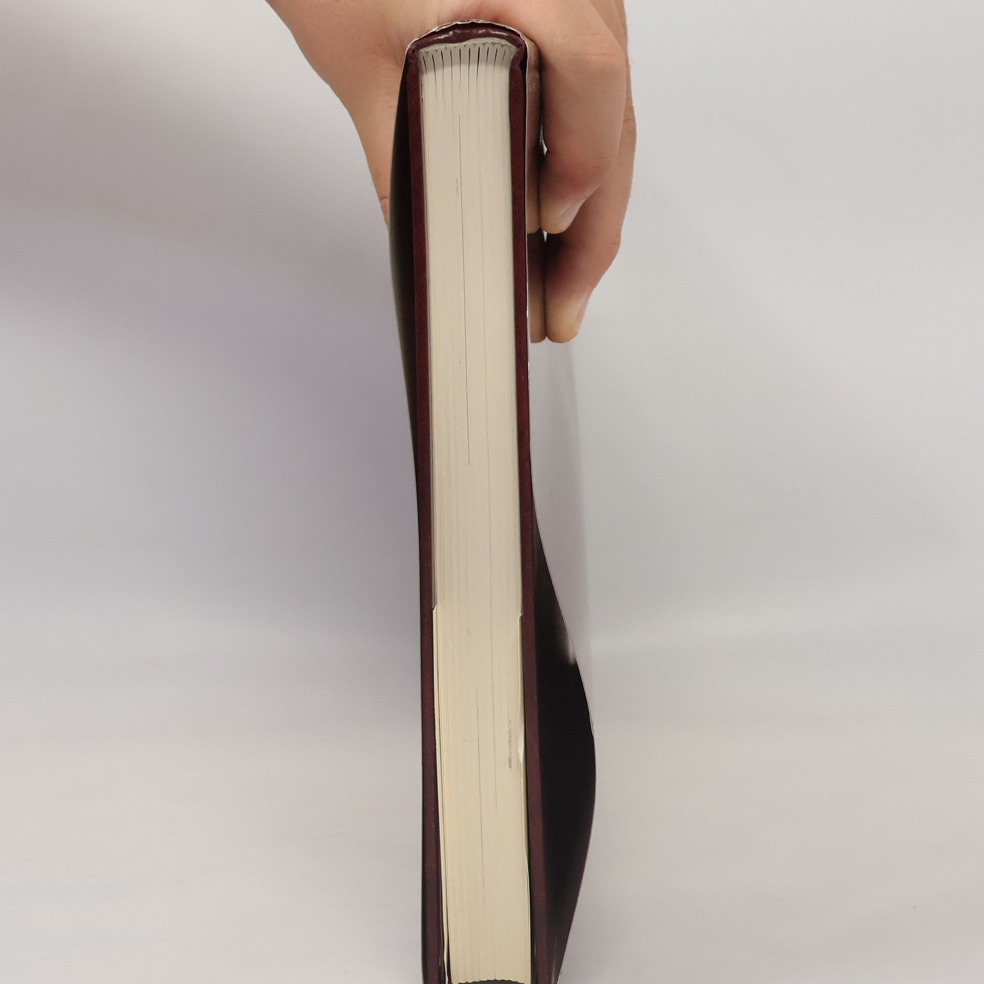Frans J. Van den Bosch Nouvelle encyclopédie de la médecine: La respiration et l'ouïe