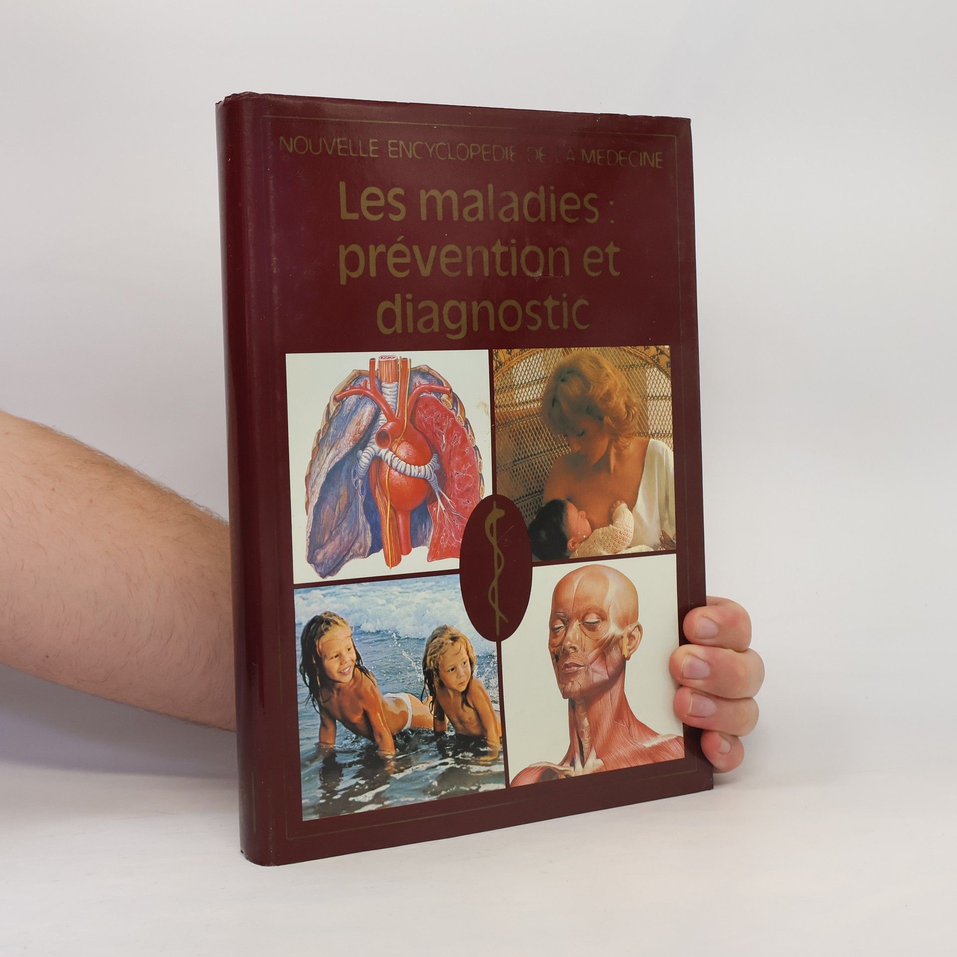 Kolektív autorov Les maladies