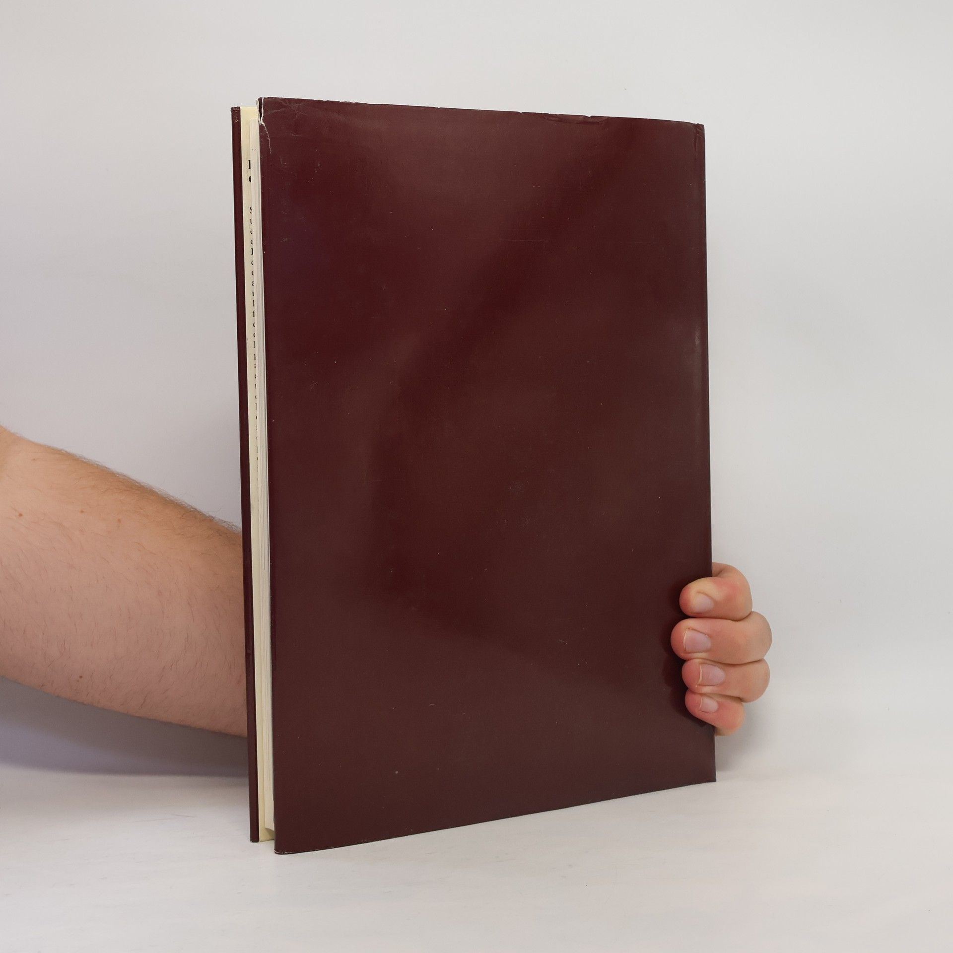 A. Palse Nouvelle encyclopédie de la médecine: Les os, les muscles et les articulations