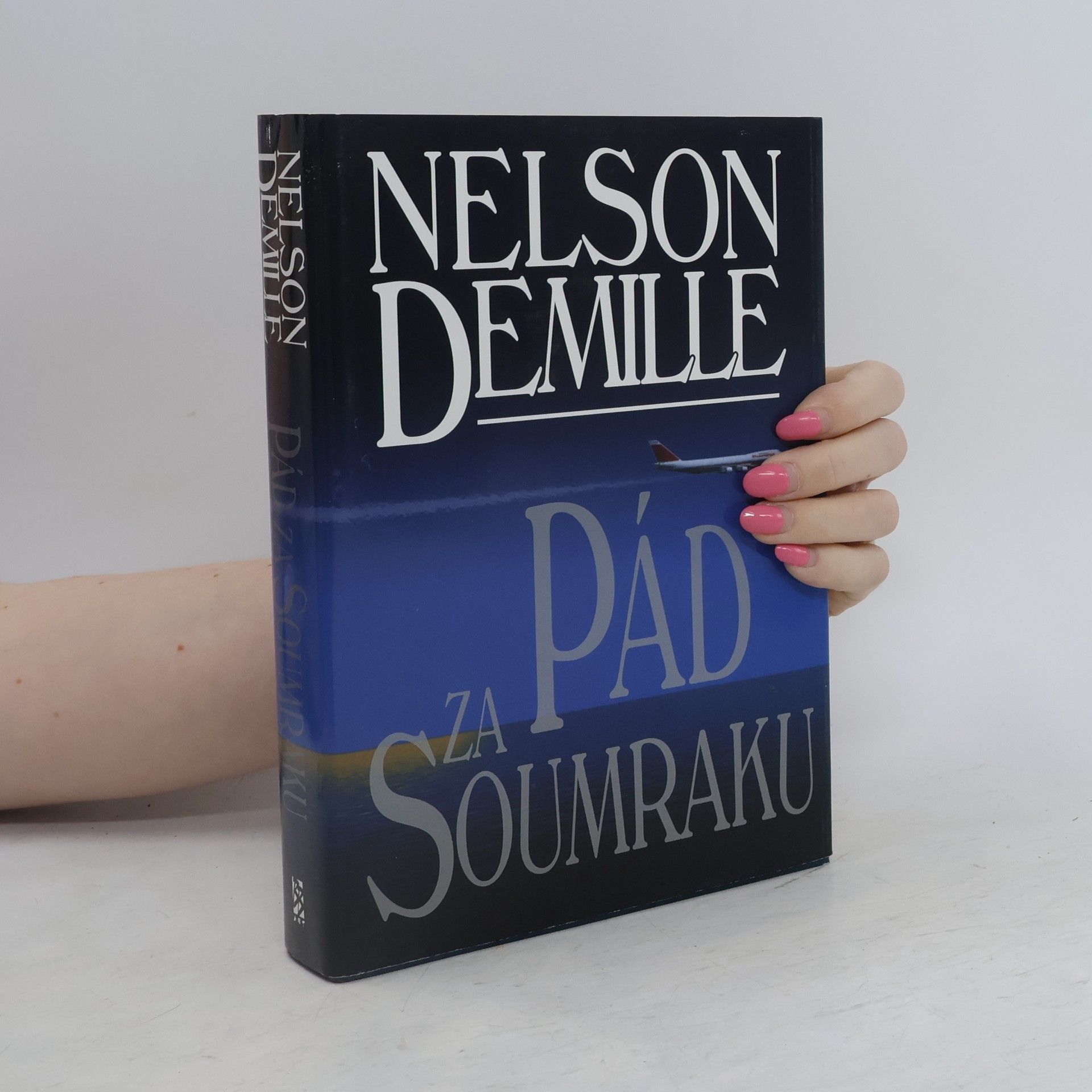 Nelson DeMille Pád za soumraku