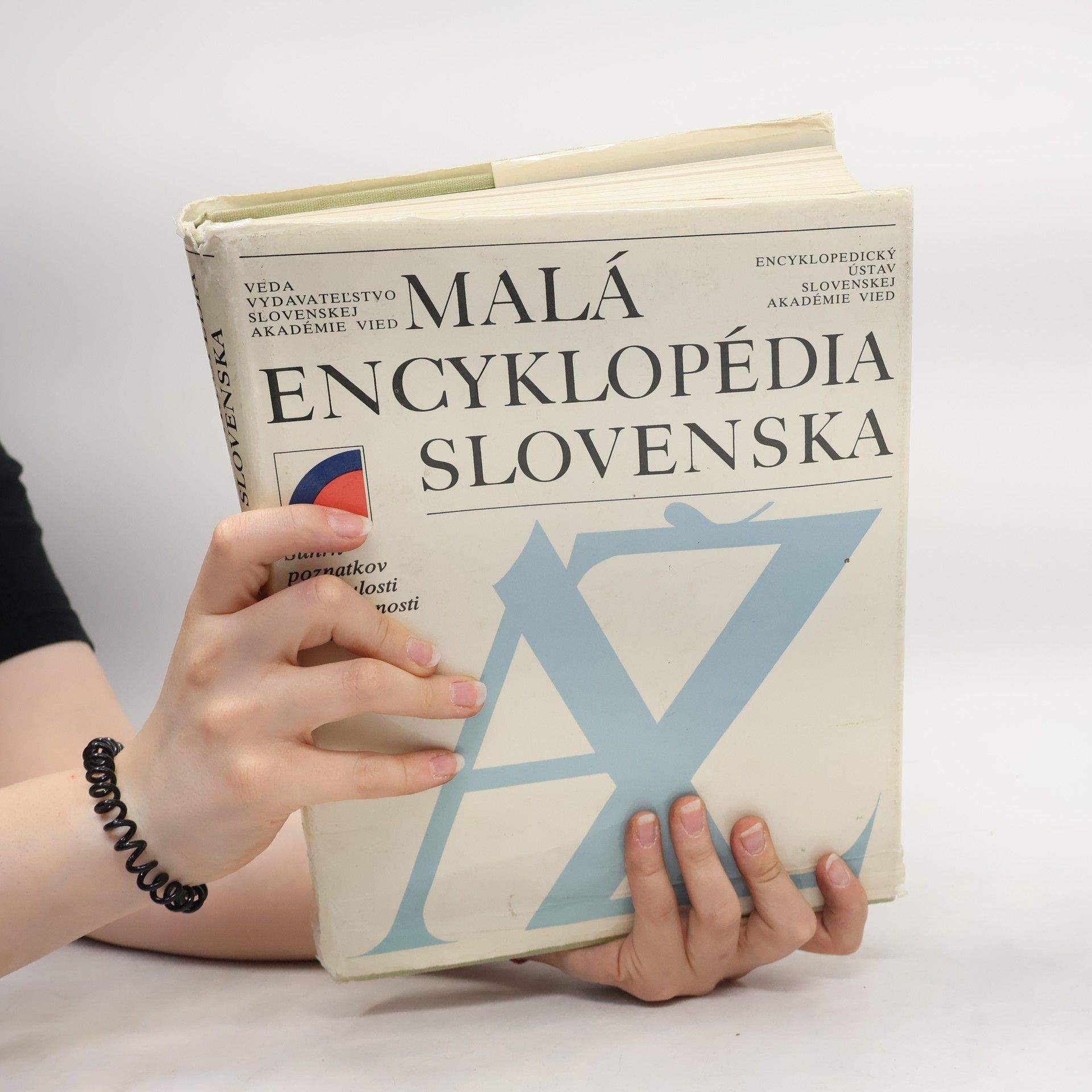 Collectif d'auteurs Malá encyklopédia Slovenska