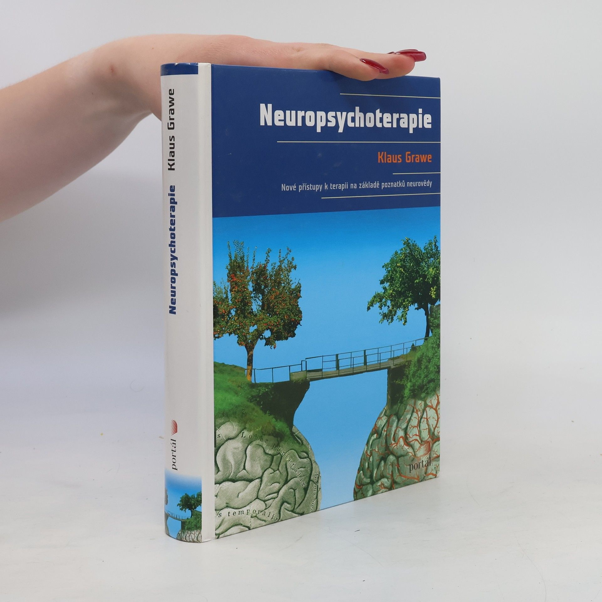 Klaus Grawe Neuropsychoterapie