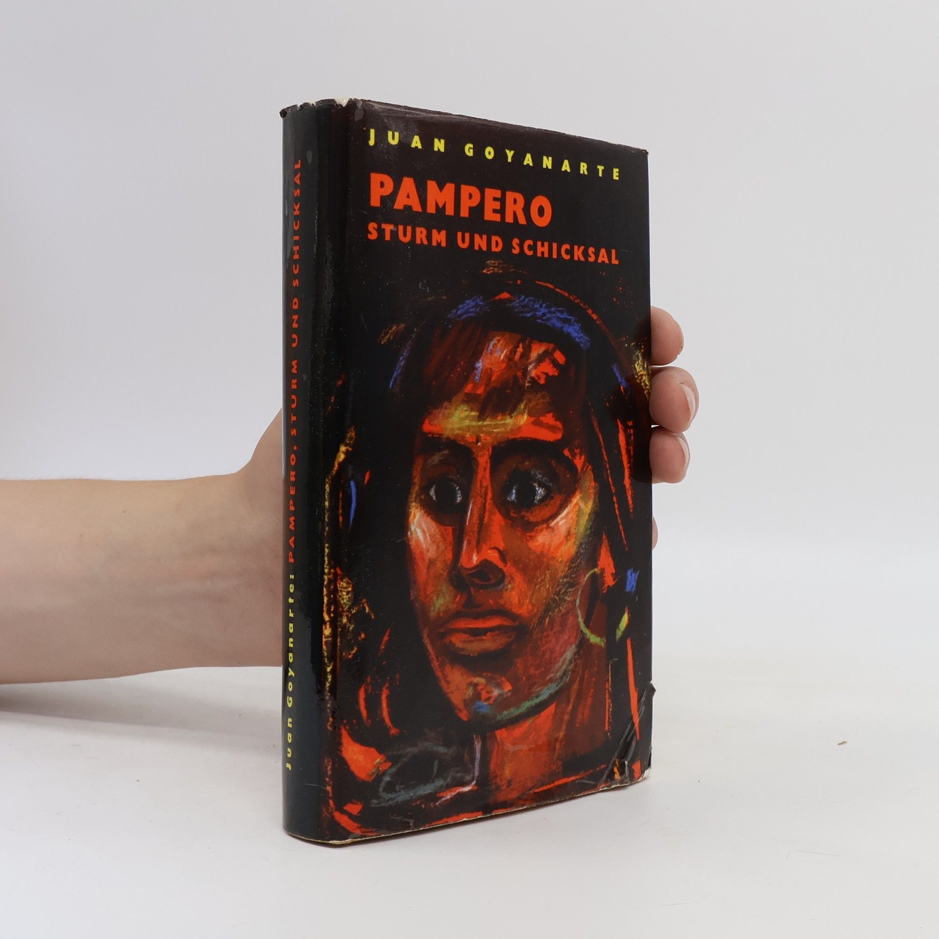 Juan Goyanarte Pampero: Sturm und Schicksal