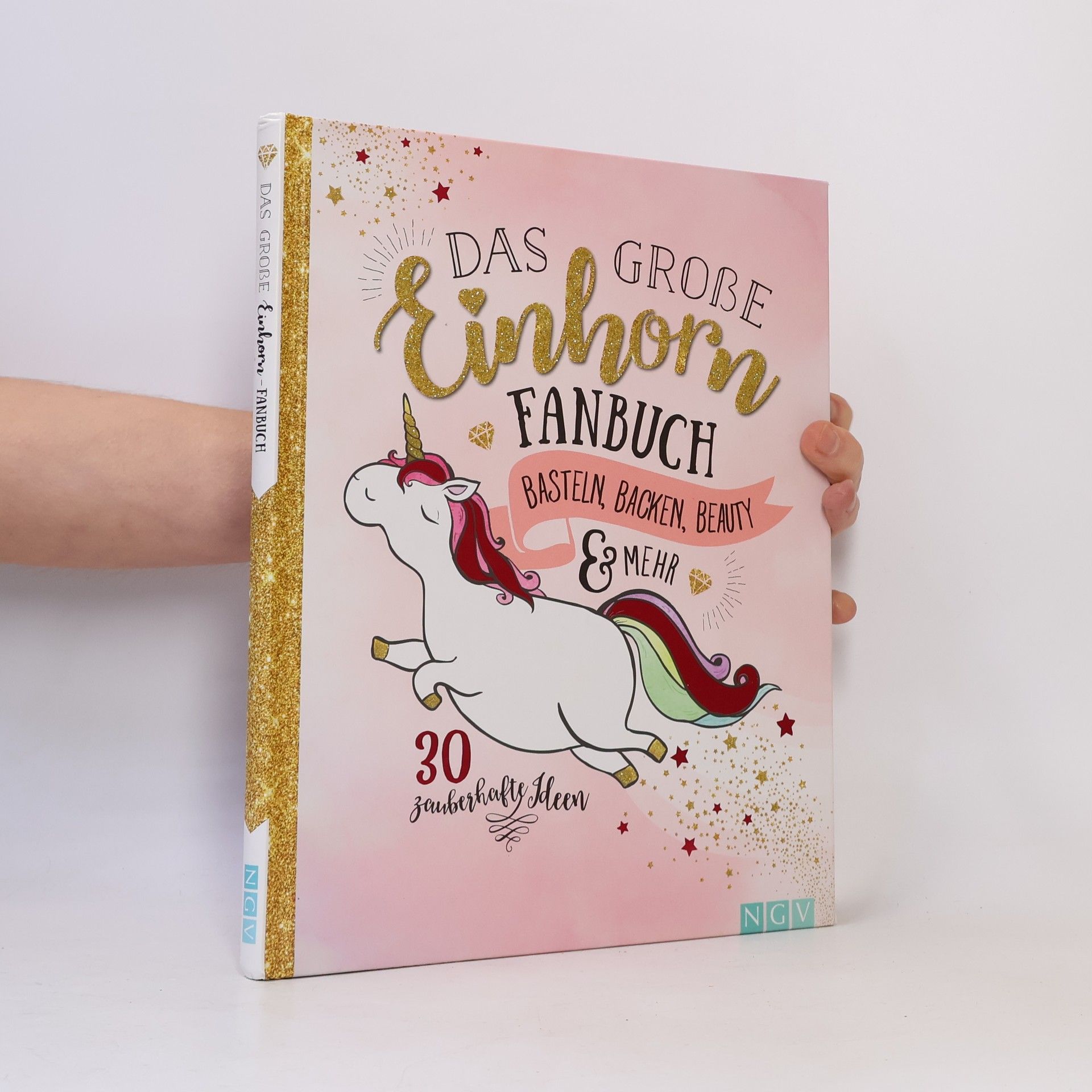 Autorenkollektiv Das grosse Einhorn Fanbuch