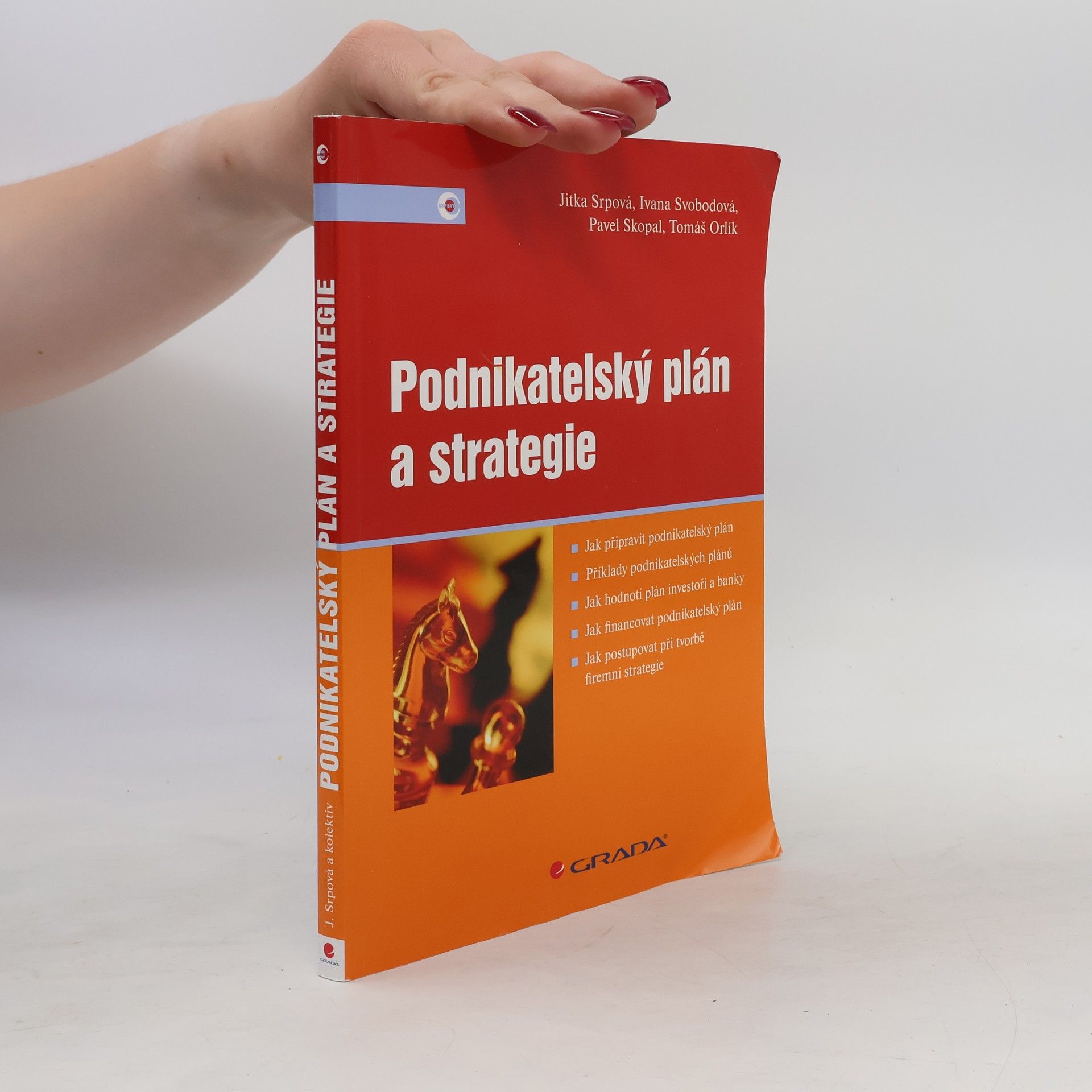 Jitka Srpová Podnikatelský plán a strategie