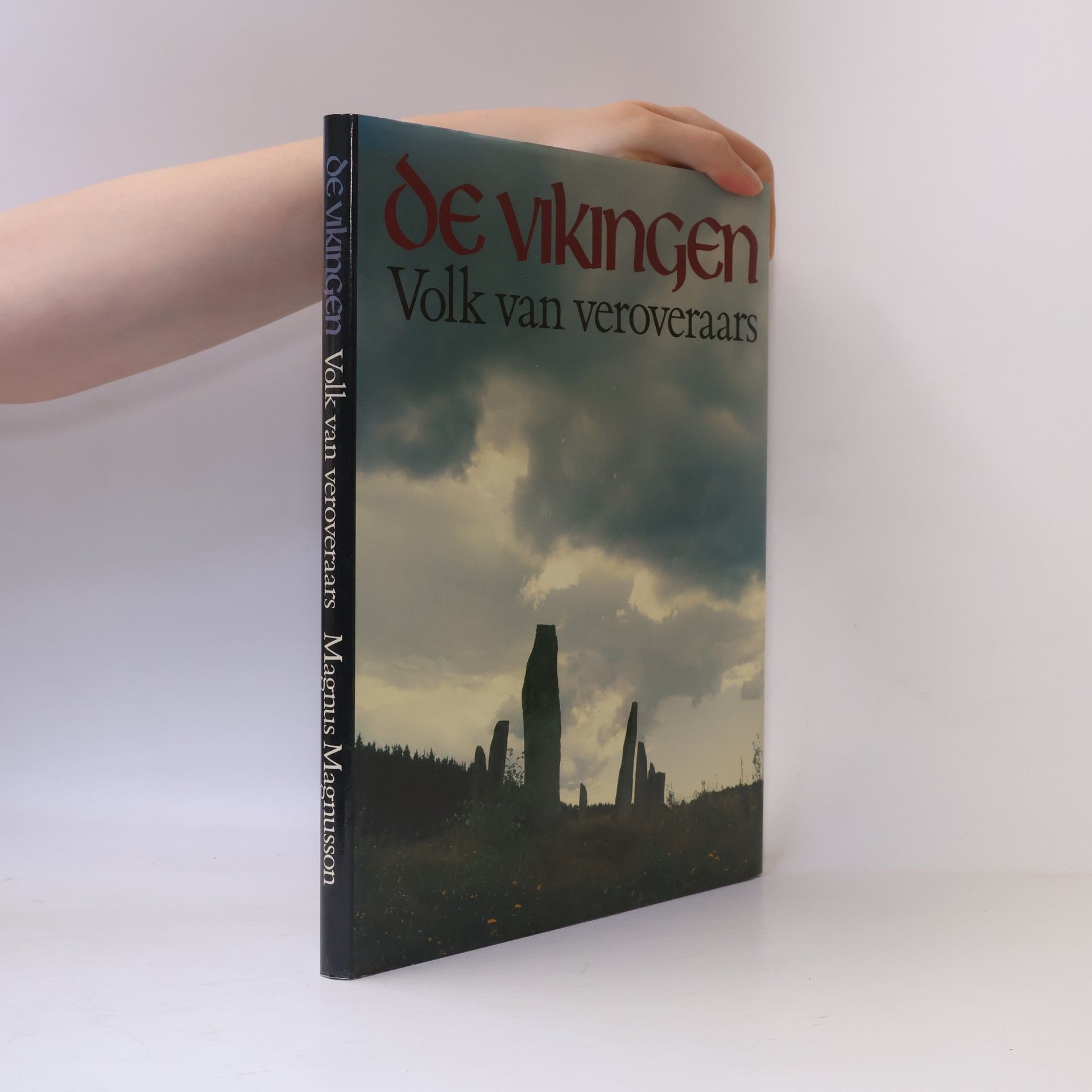 Joke Westerweel-Ybema De Vikingen