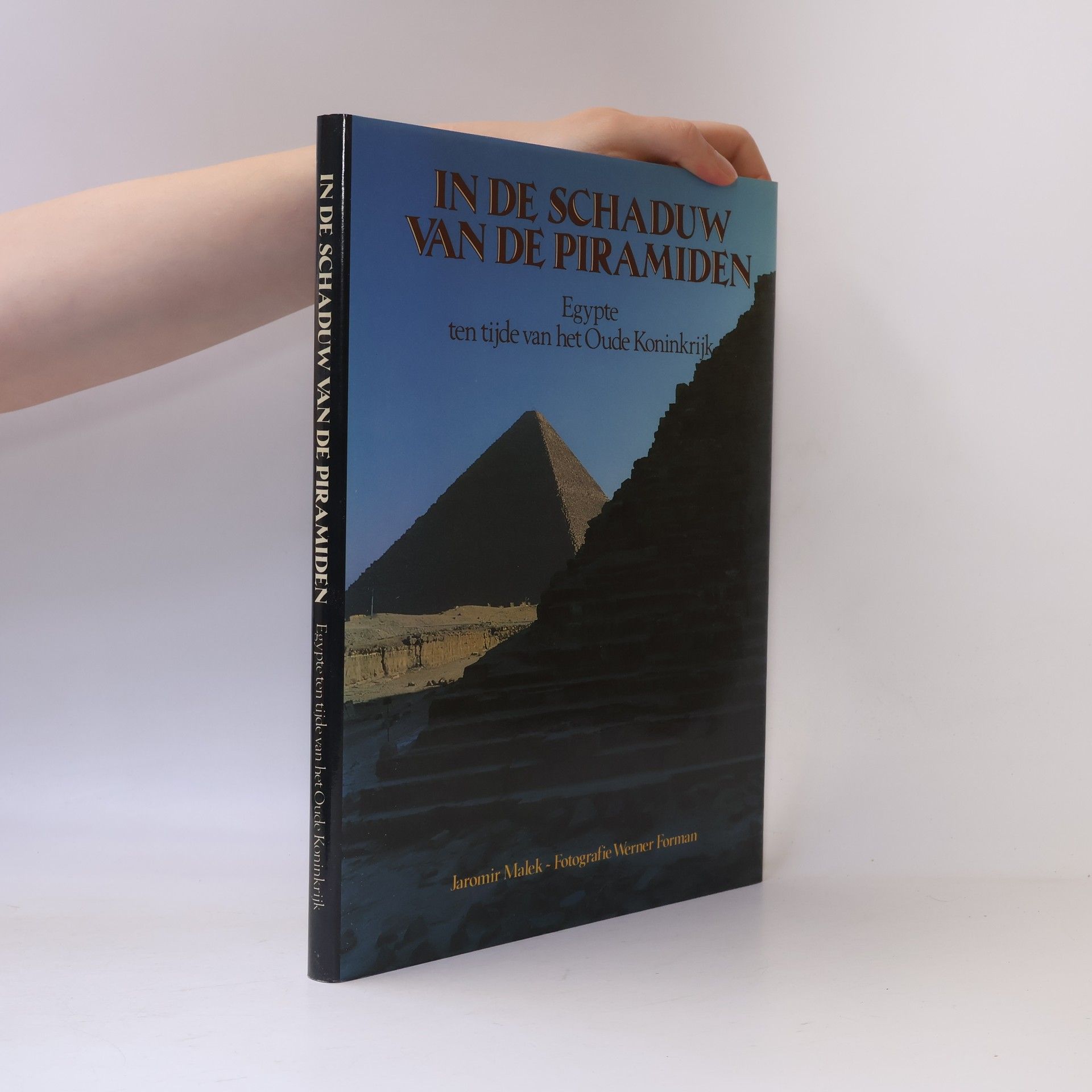 In de schaduw van de piramiden