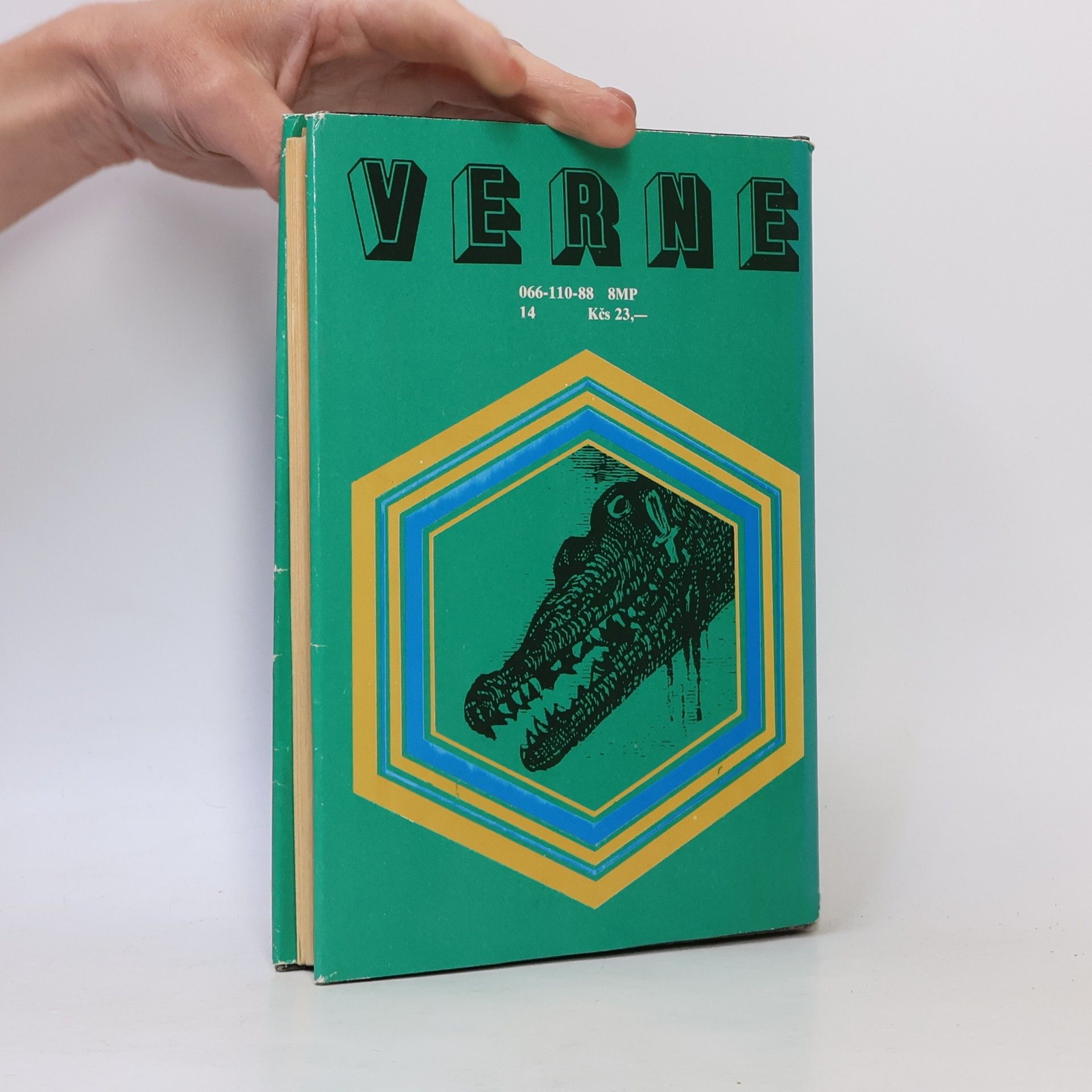 Jules Verne 800 míľ po Amazone