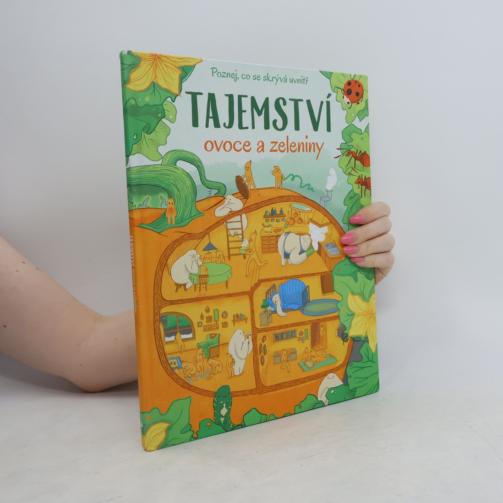 Auteurscollectief Tajemství ovoce a zeleniny