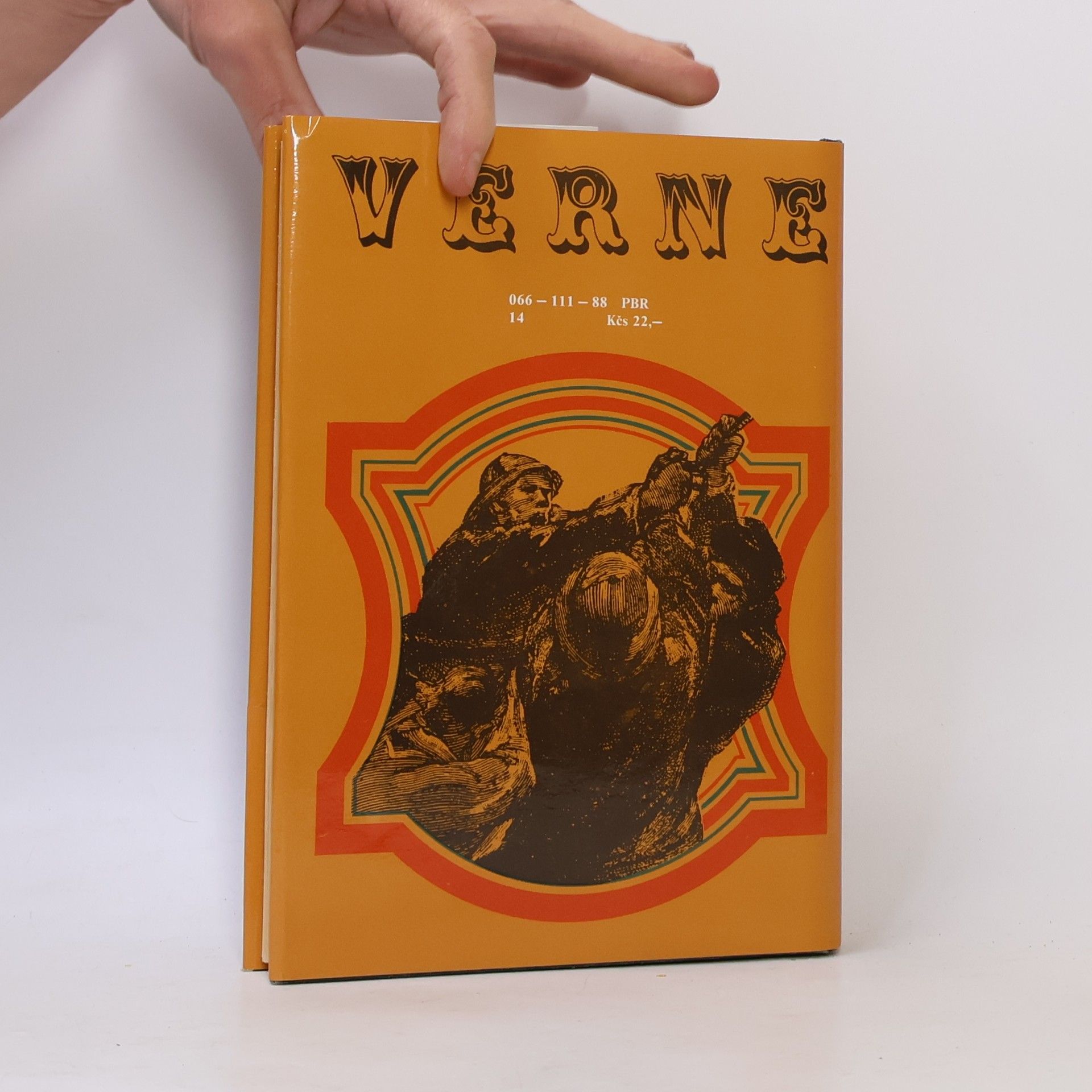 Jules Verne Pani Branicanová