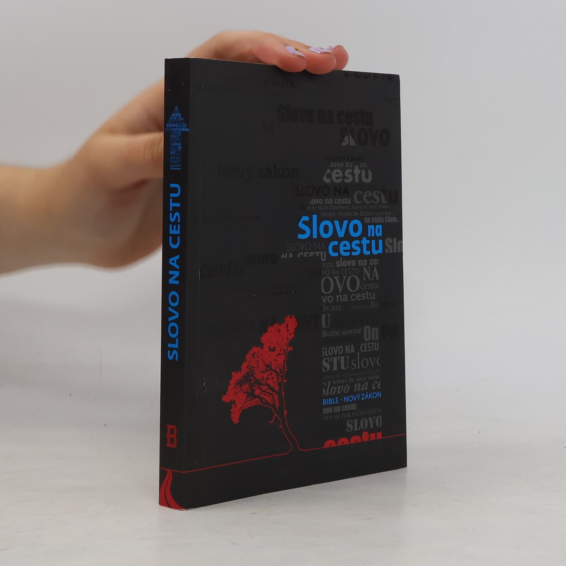 Kolektív autorov Slovo na cestu