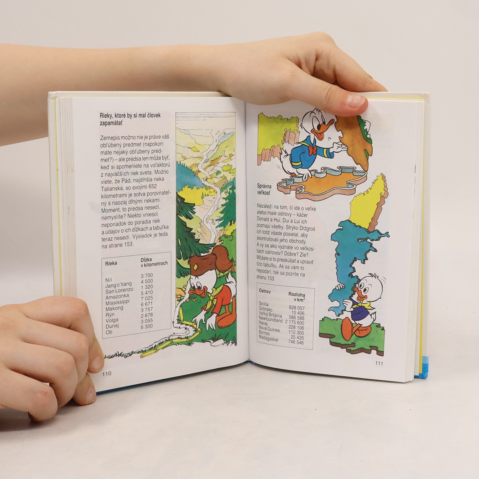 Walt Disney Príručka mladých svišťov. Tajná príručka na všetky príležitosti