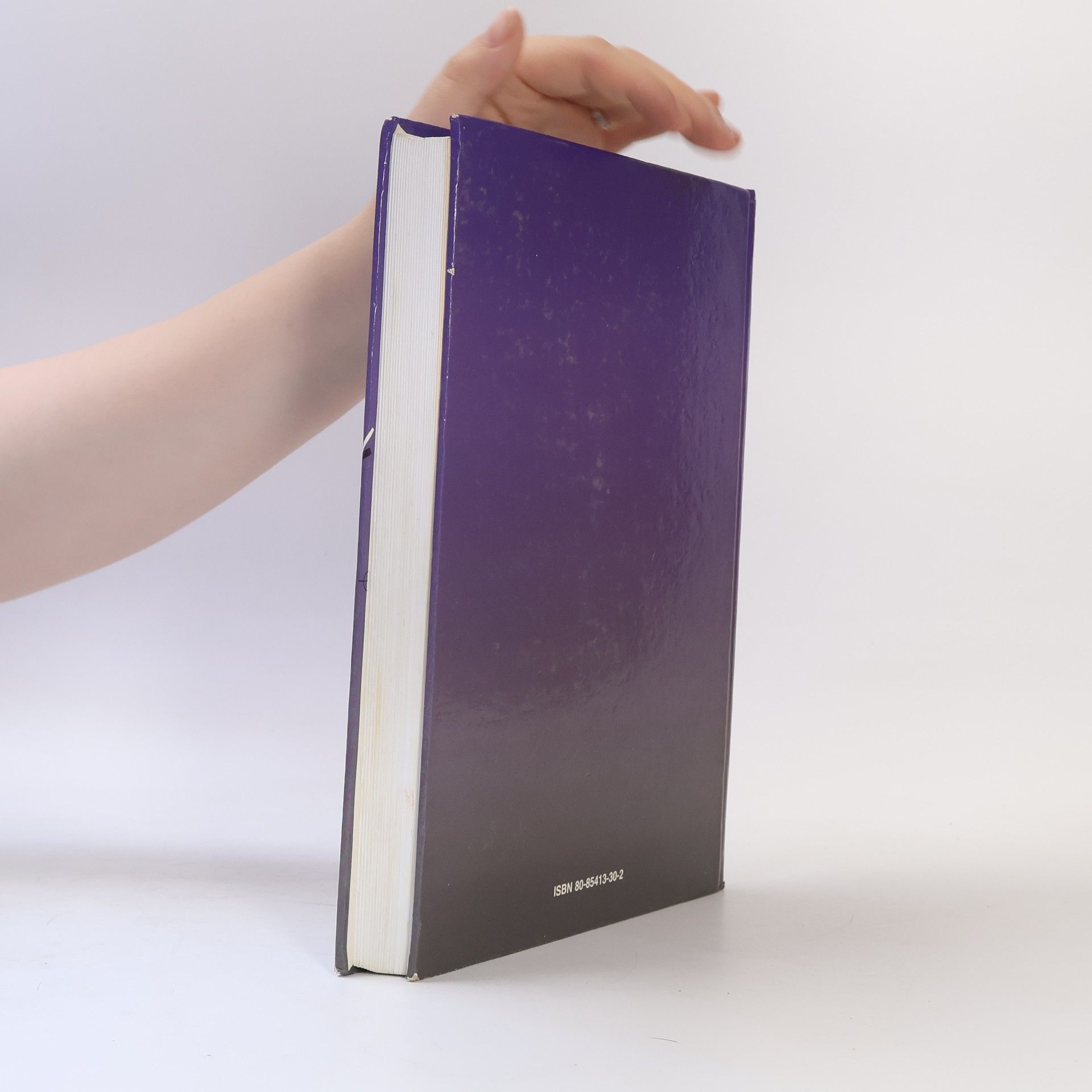 Autorenkollektiv Hospodárska politika