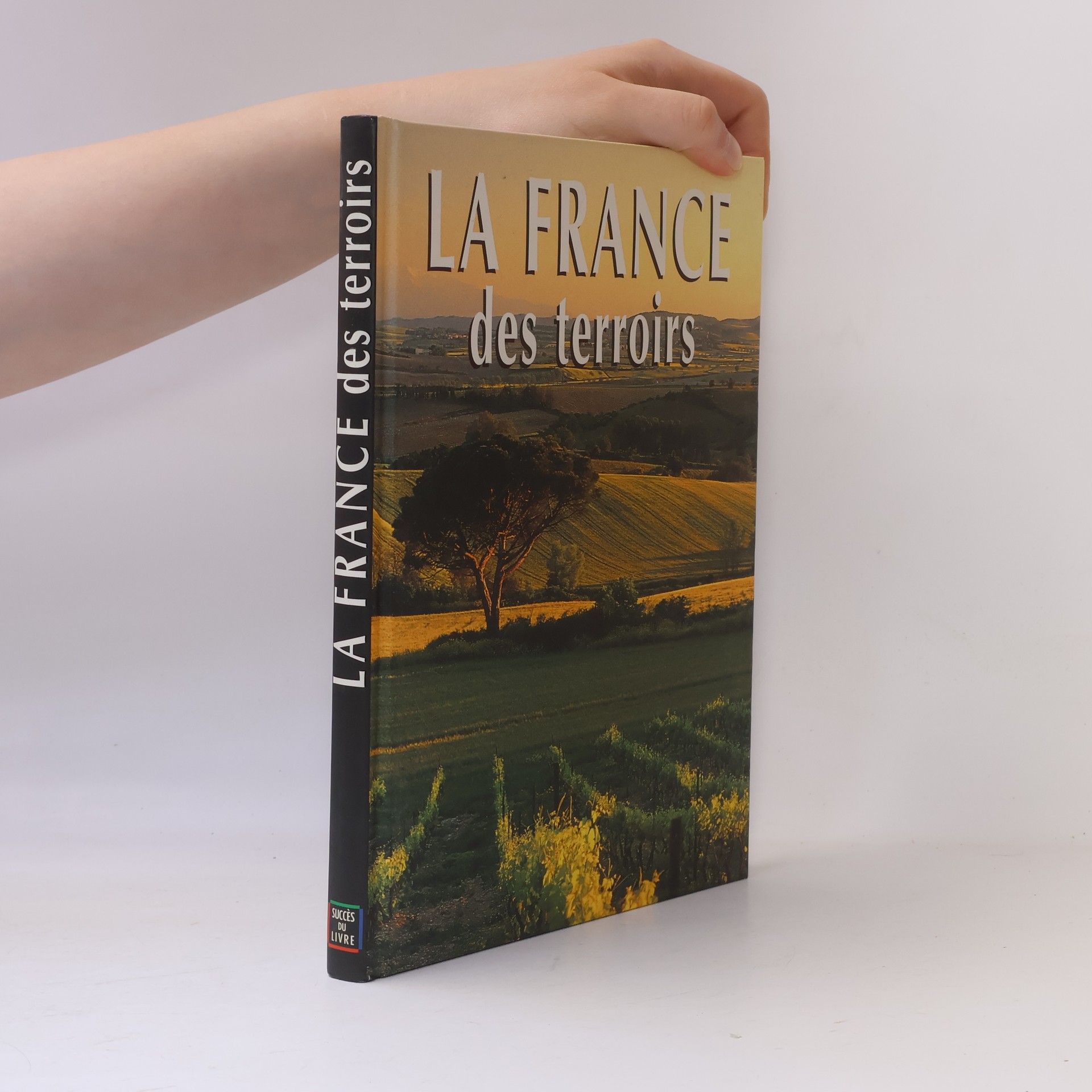 Collectif d'auteurs France des terroirs
