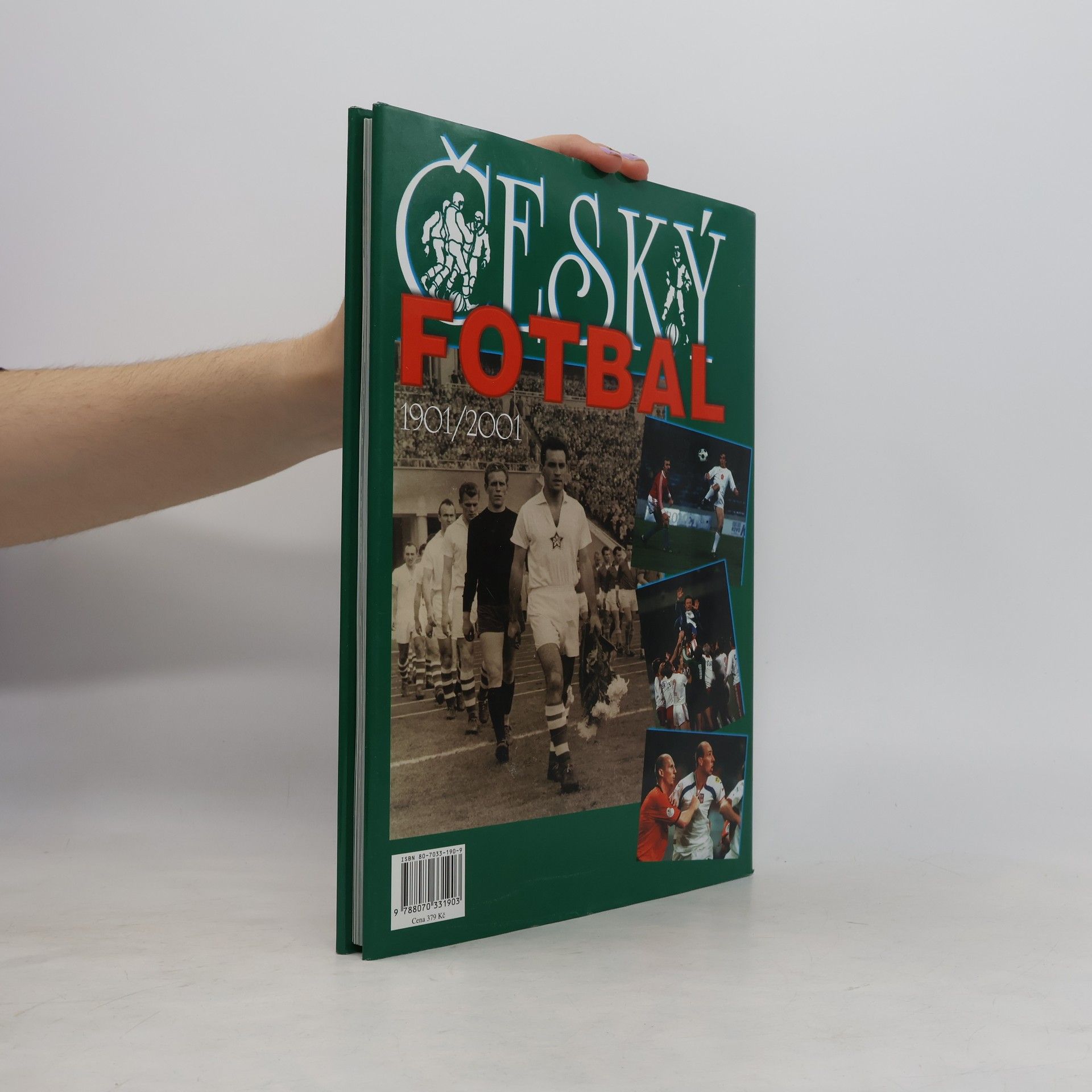 Jaroslav Šálek Český fotbal 1901-2001