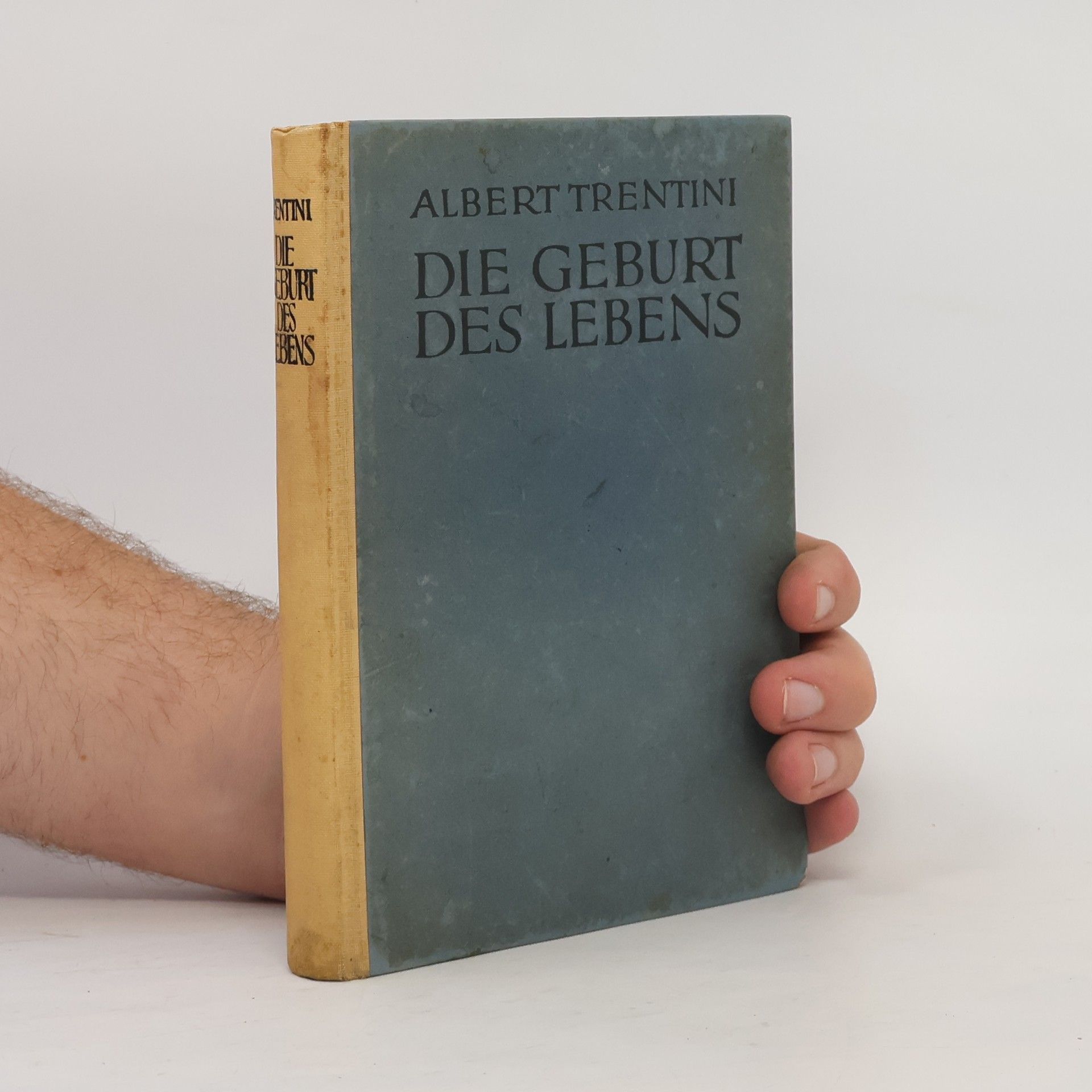 Albert Trentini Die geburt des Lebens