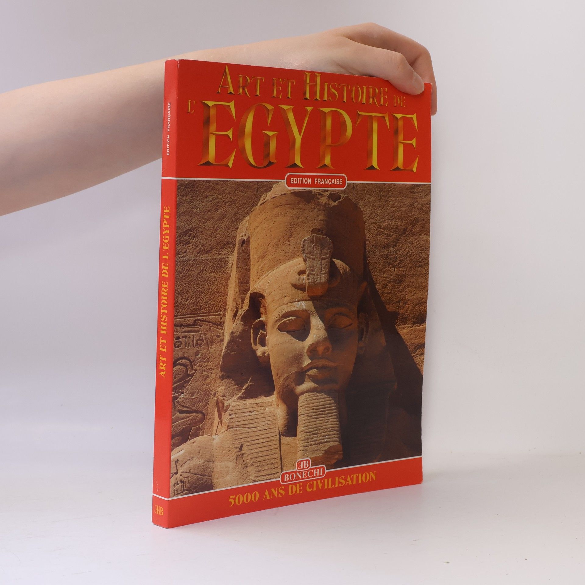 Alberto Carlo Carpiceci Art et histoire de l'Egypte: 5000 ans de civilisation - édition française