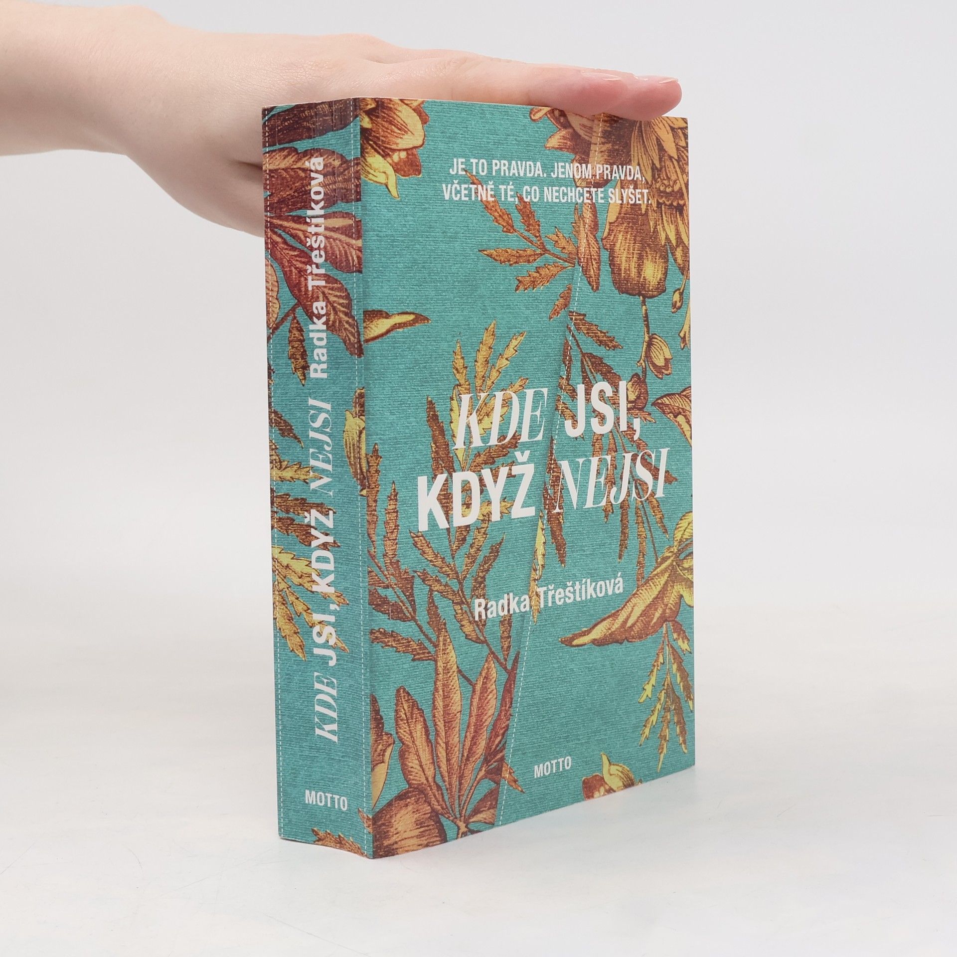 Radka Třeštíková Kde jsi, když nejsi