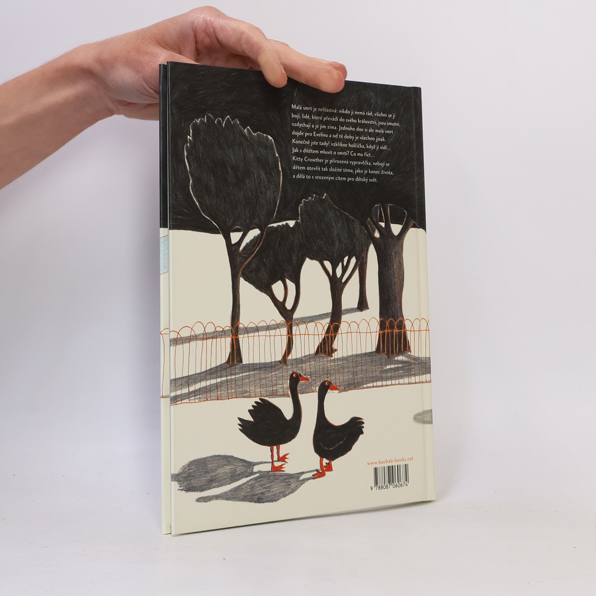Kitty Crowther Návštěva malé smrti