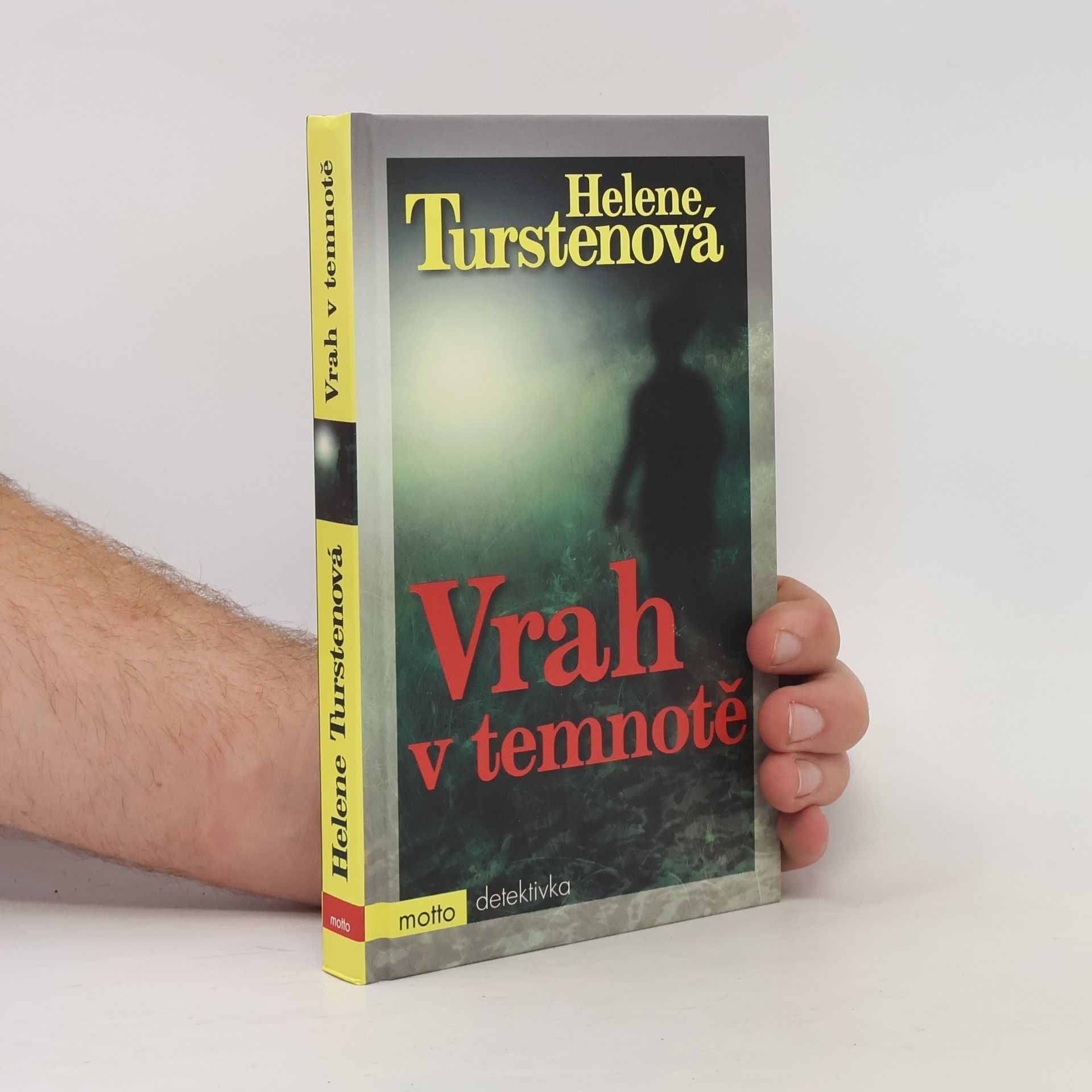 Helene Tursten Vrah v temnotě
