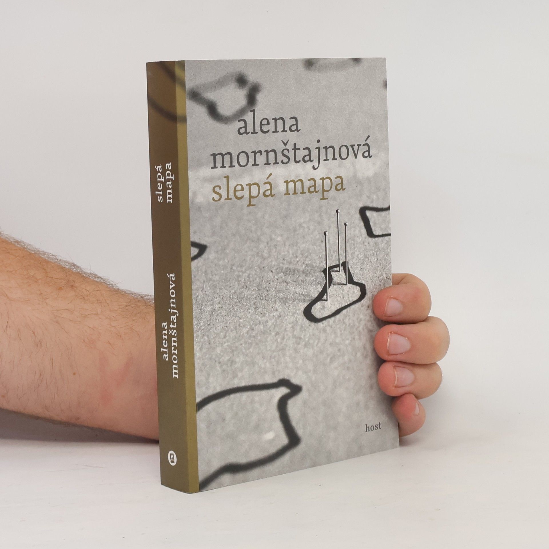 Alena Mornštajnová Slepá mapa